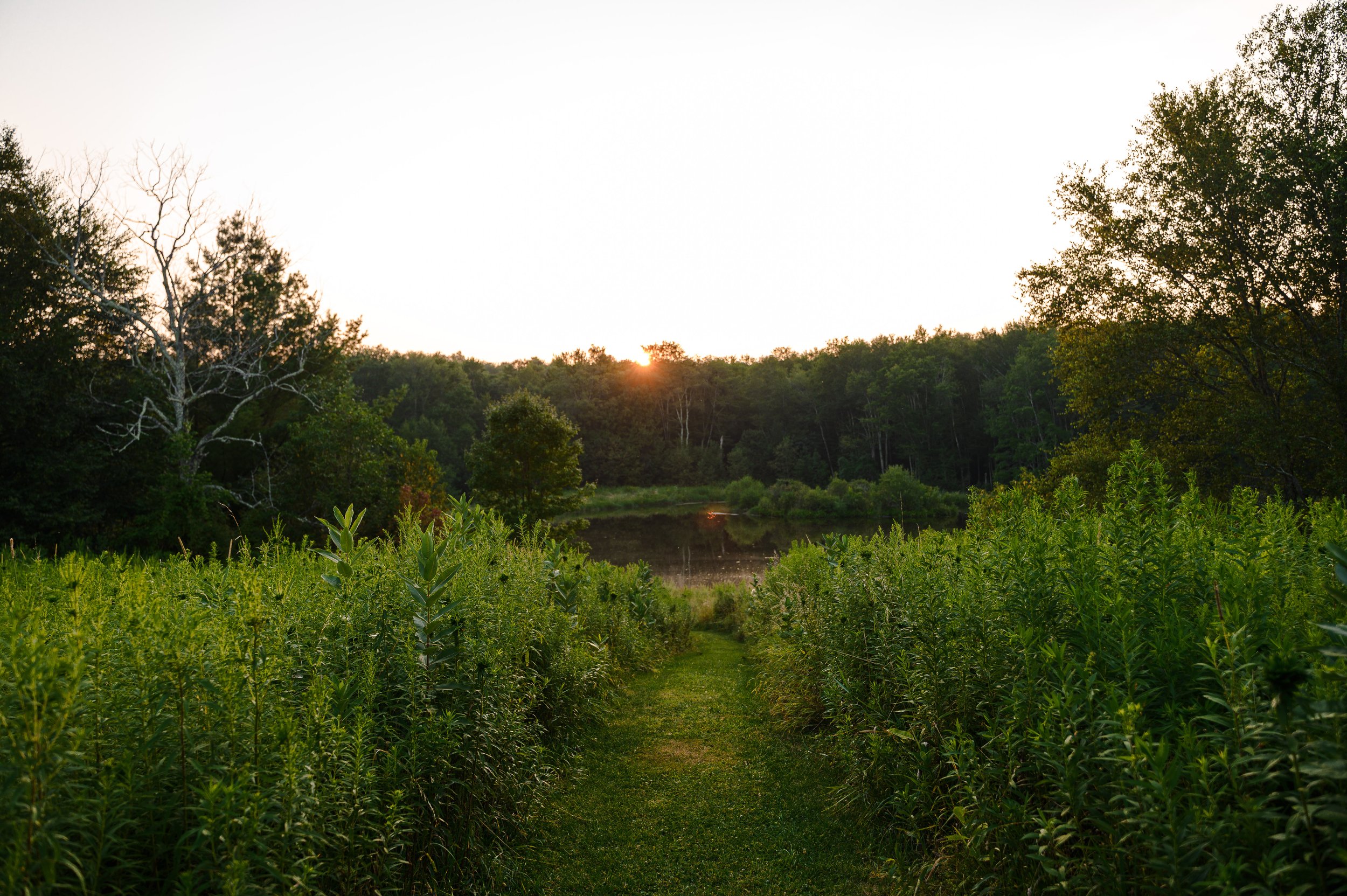 Sanoktastic Photograohy Pocono MTNS & The Catkills-20.jpg