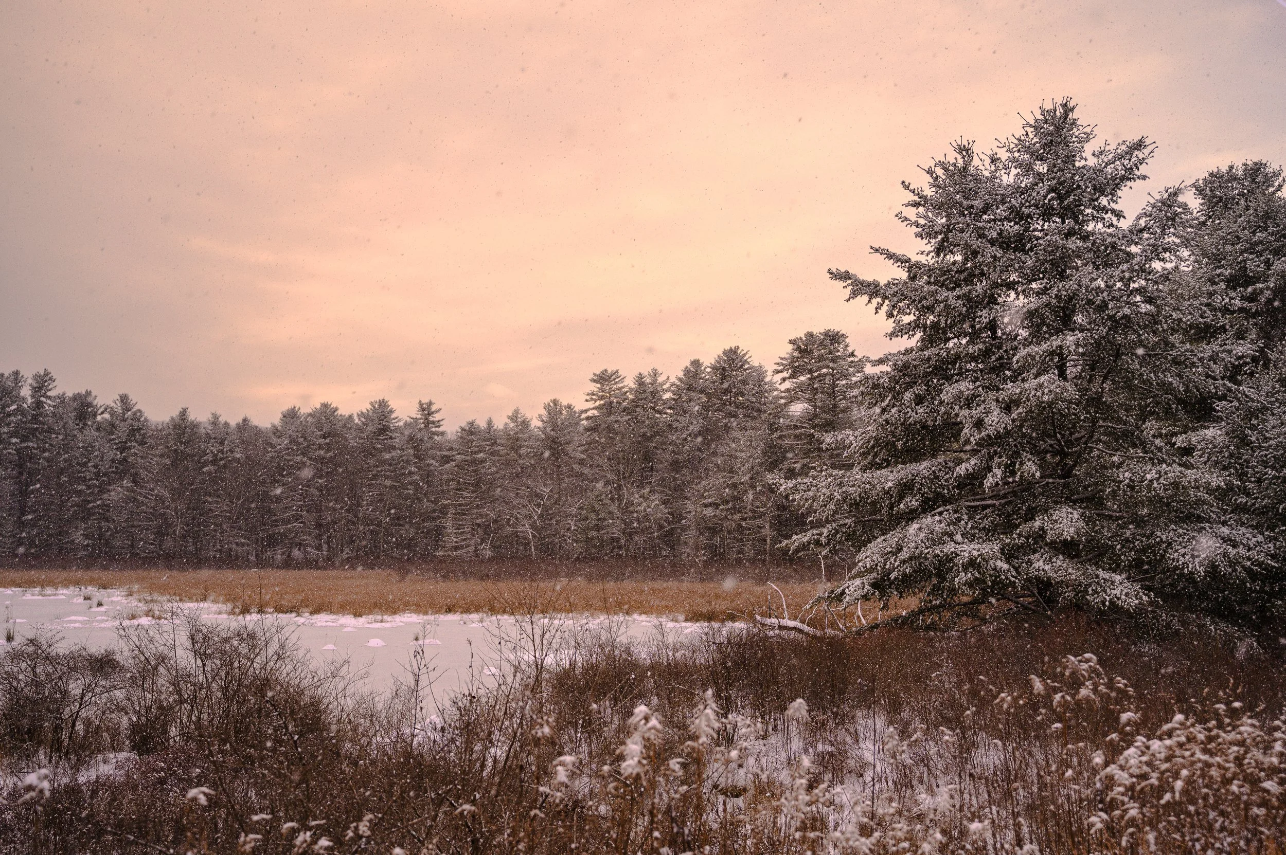 Sanoktastic Photograohy Pocono MTNS & The Catkills-09.jpg