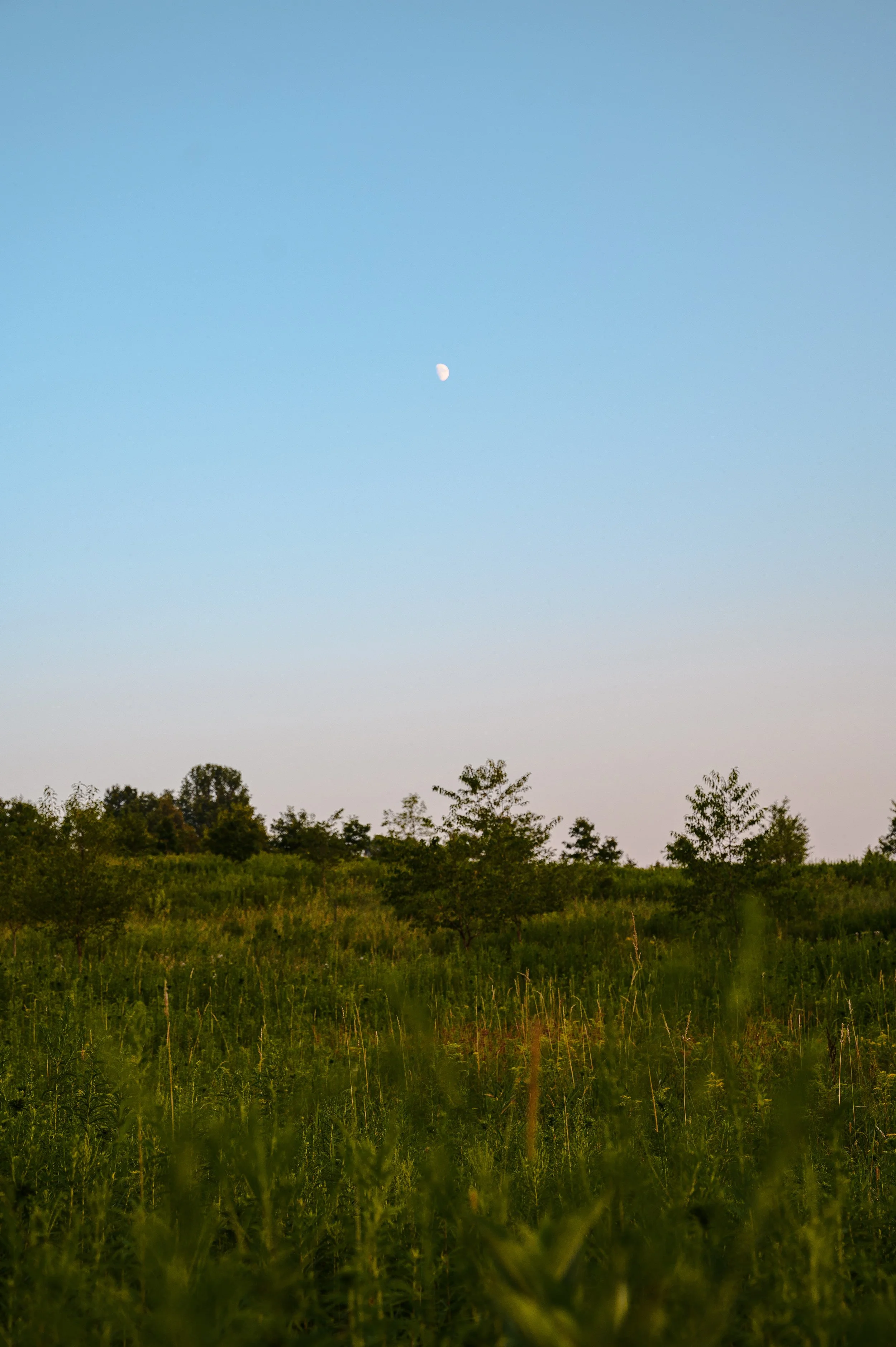 Sanoktastic Photograohy Pocono MTNS & The Catkills-22.jpg