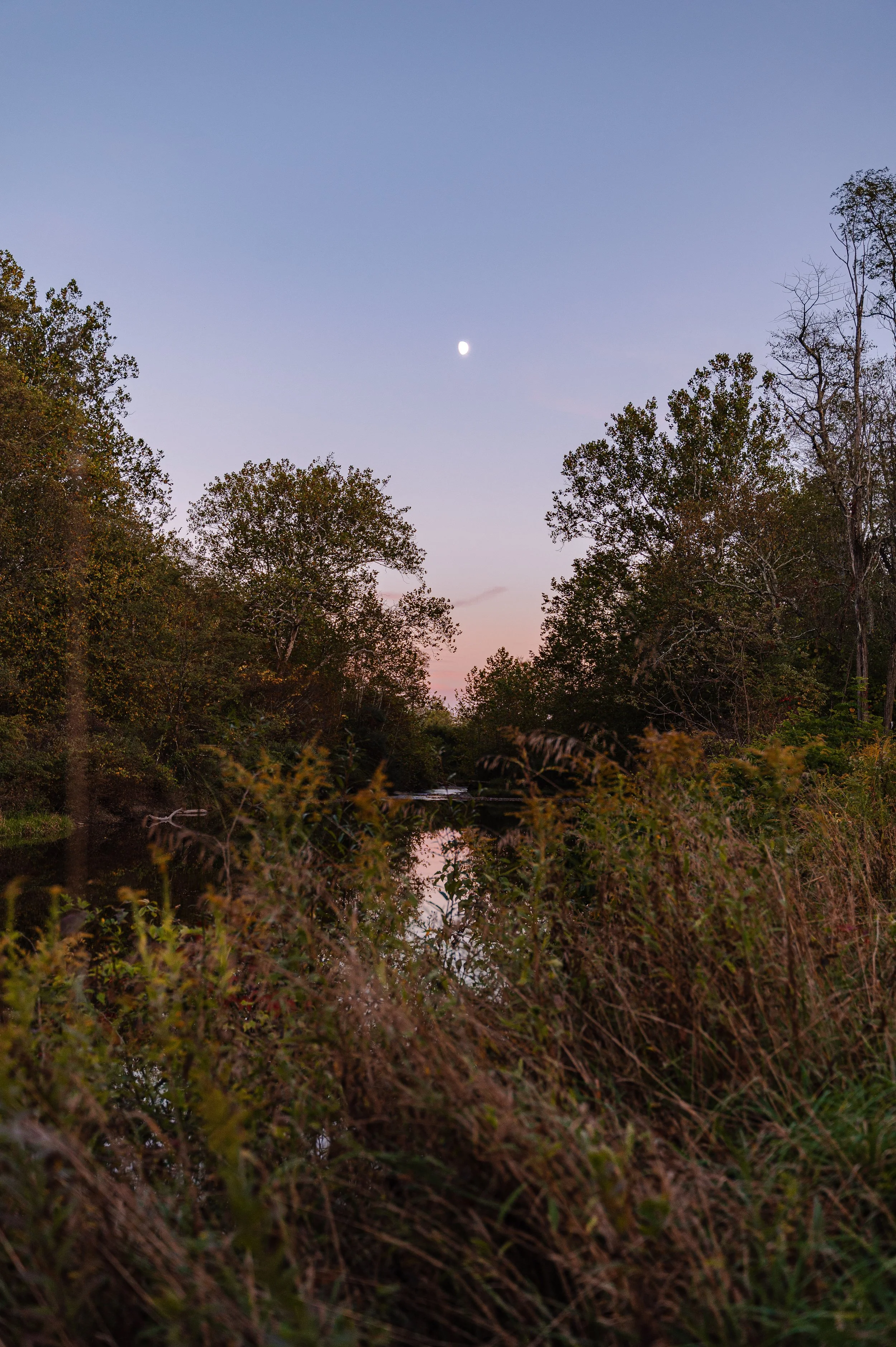 Sanoktastic Photograohy Pocono MTNS & The Catkills-13.jpg