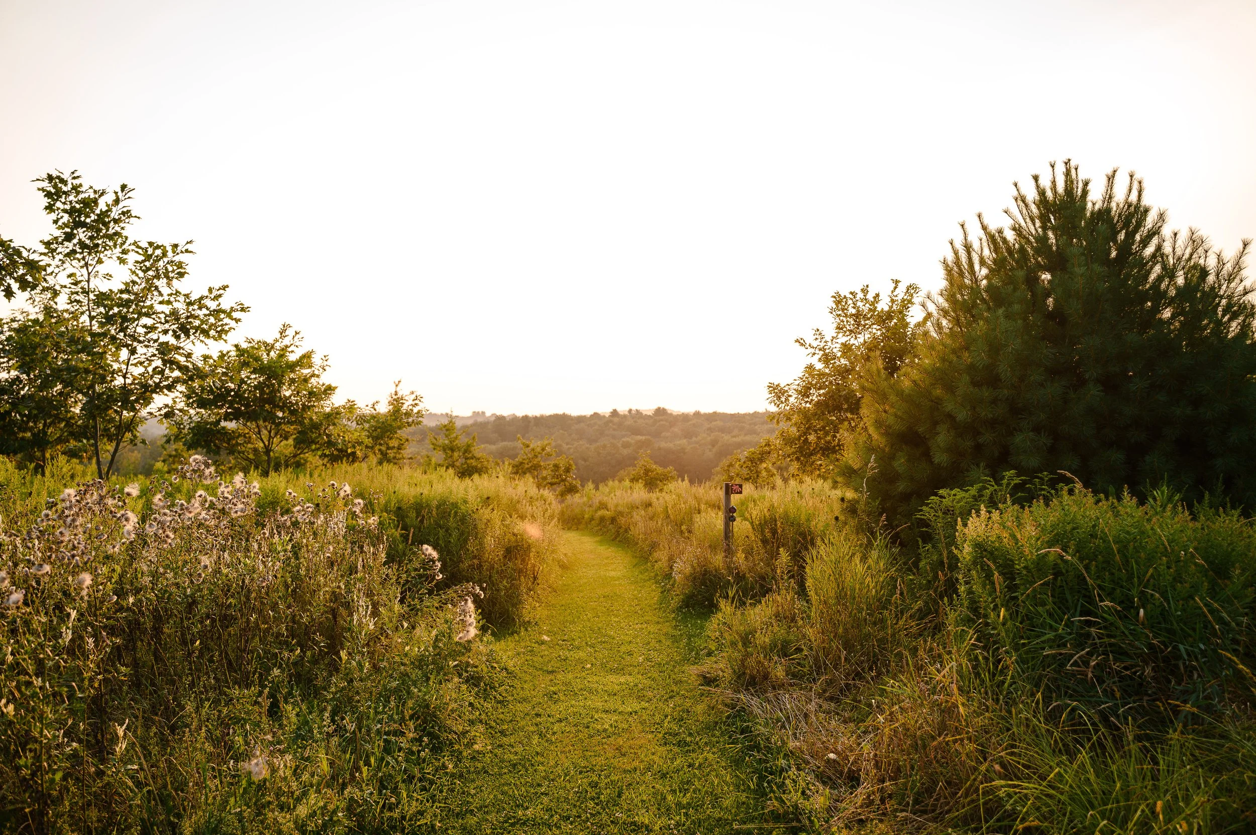 Sanoktastic Photograohy Pocono MTNS & The Catkills-18.jpg