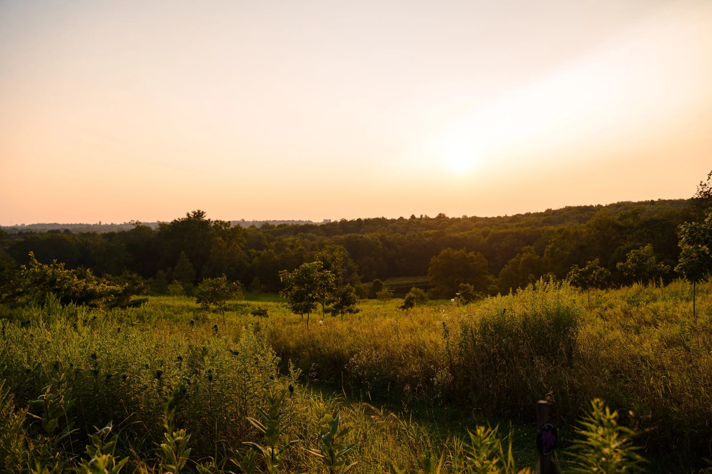 Sanoktastic Photograohy Pocono MTNS & The Catkills-19.jpg