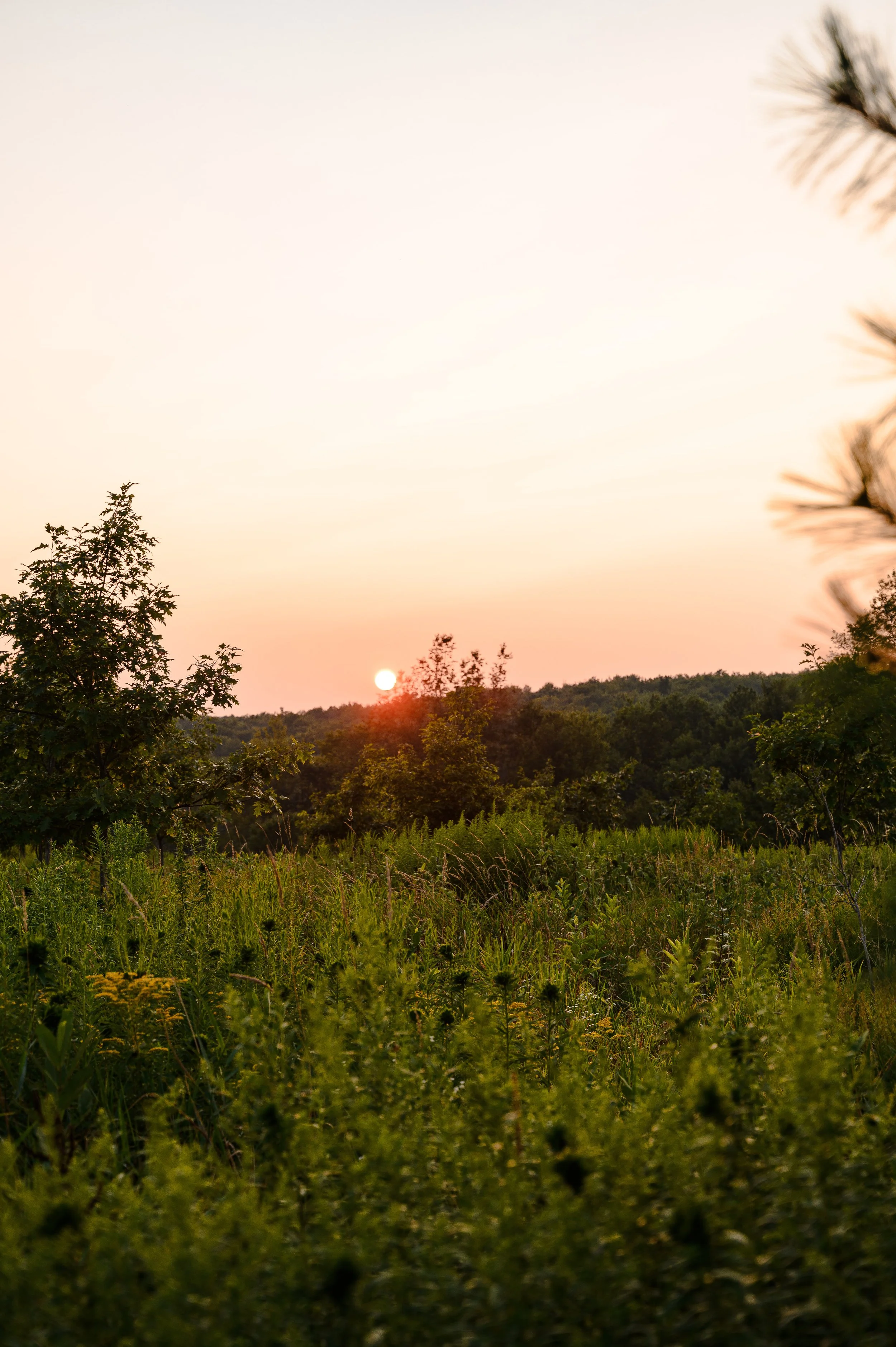 Sanoktastic Photograohy Pocono MTNS & The Catkills-23.jpg