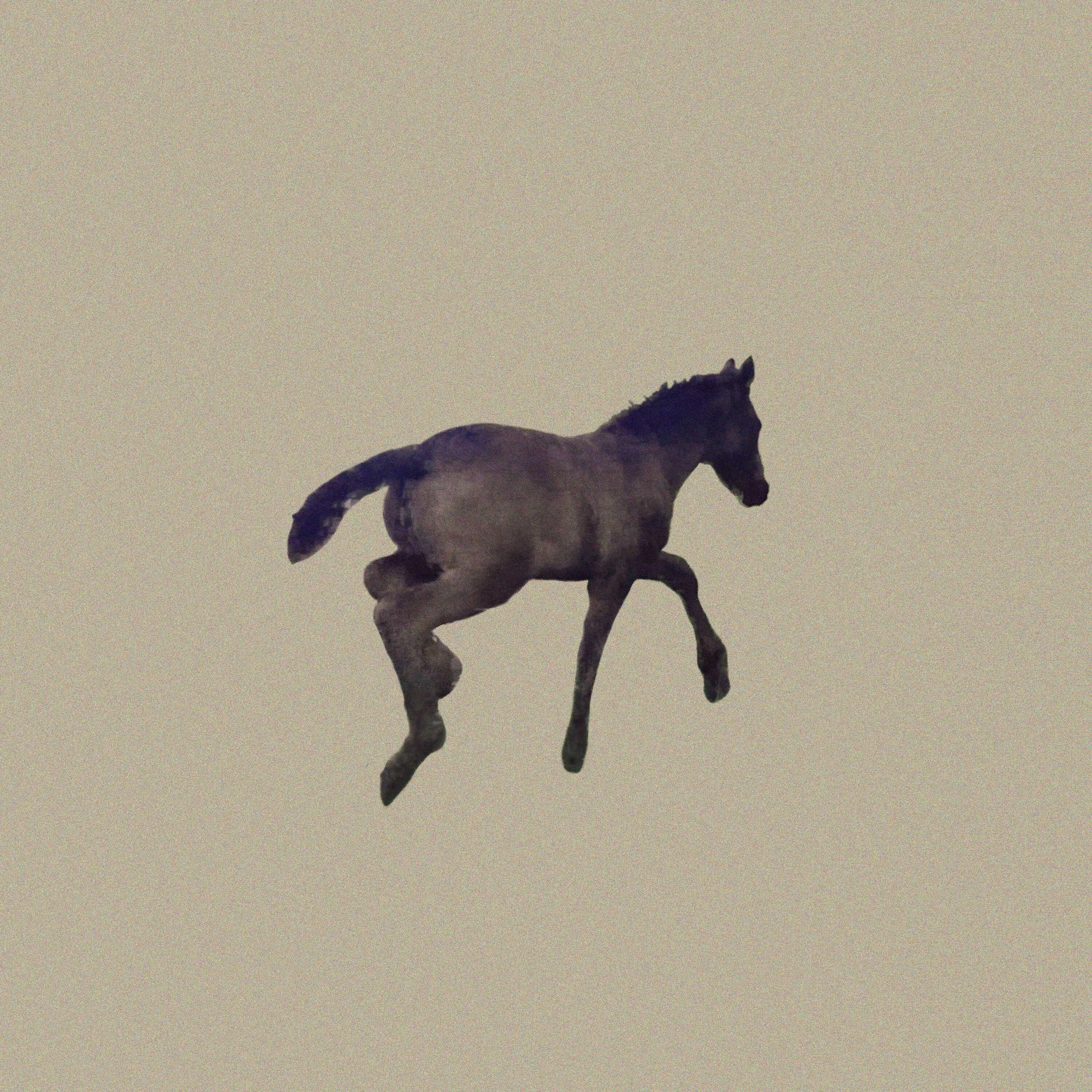 A digitally edited image of a gray horse with a dark mane, appearing to float or fly in mid-air against a plain, light background.