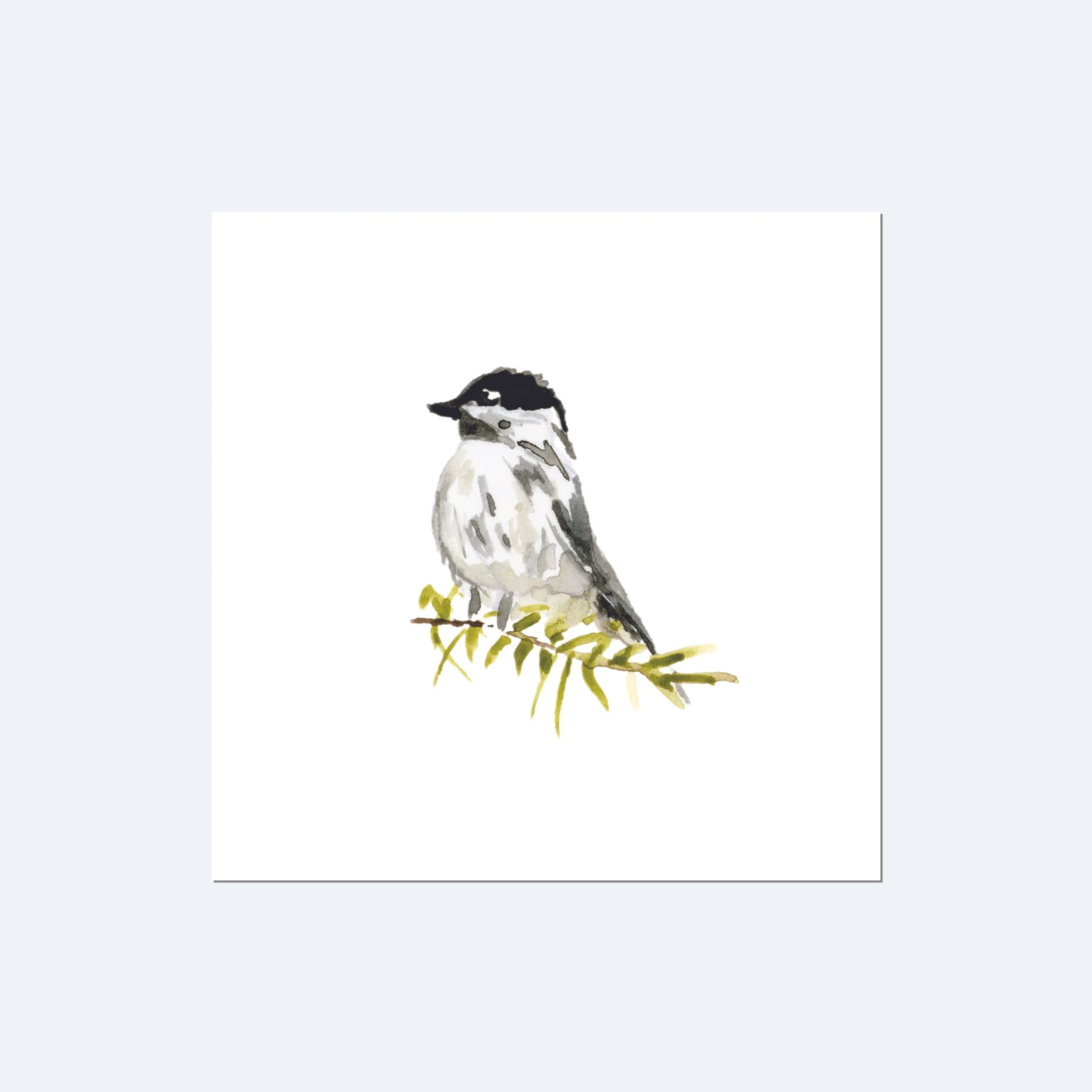 littlechickadee_product.jpg