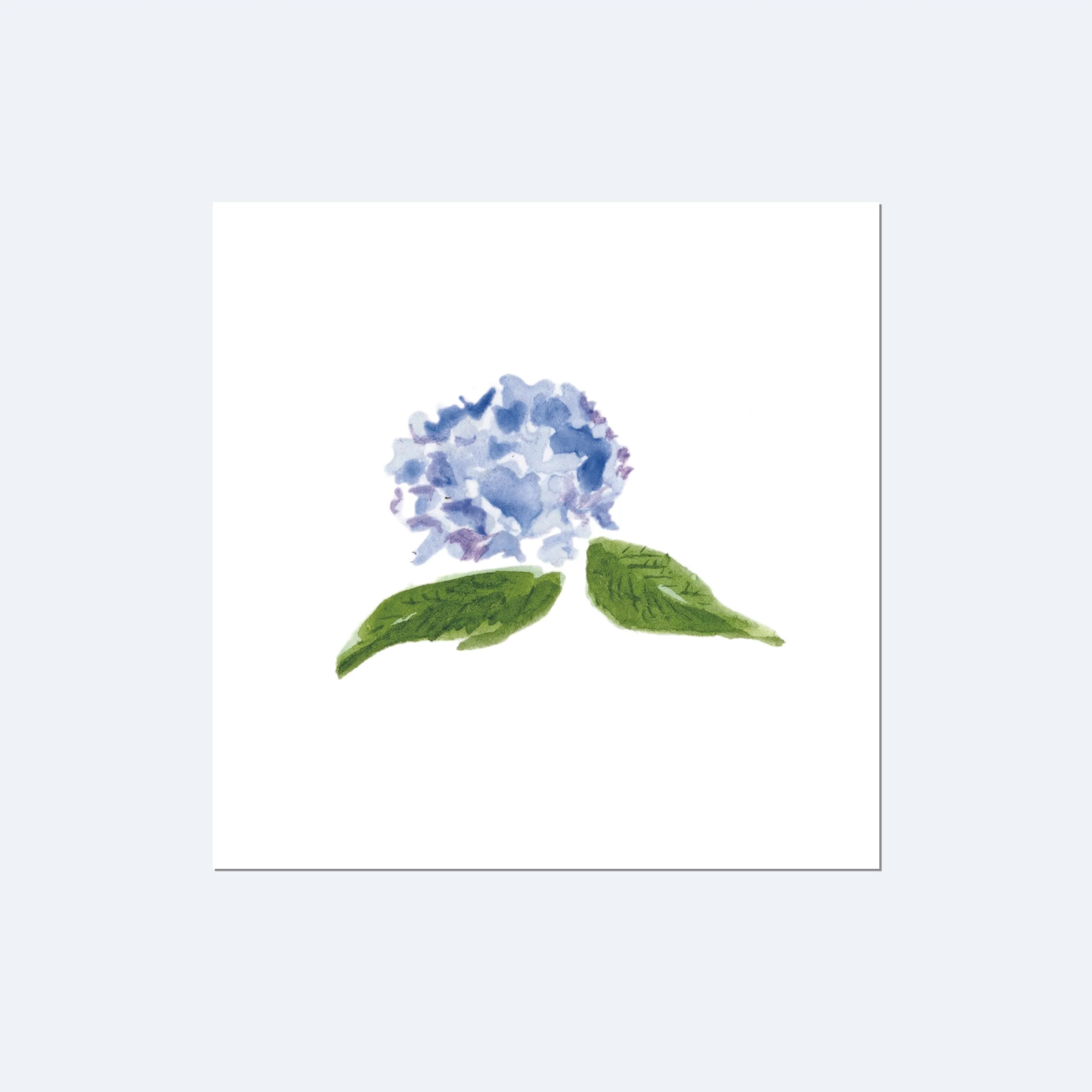 littlehydrangea_product.jpg
