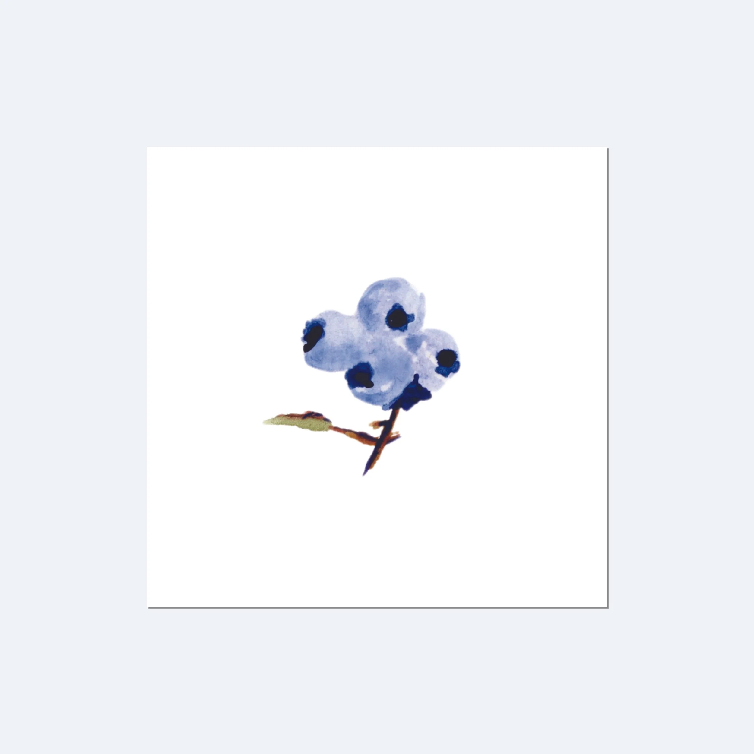 littleblueberryrproduct.jpg