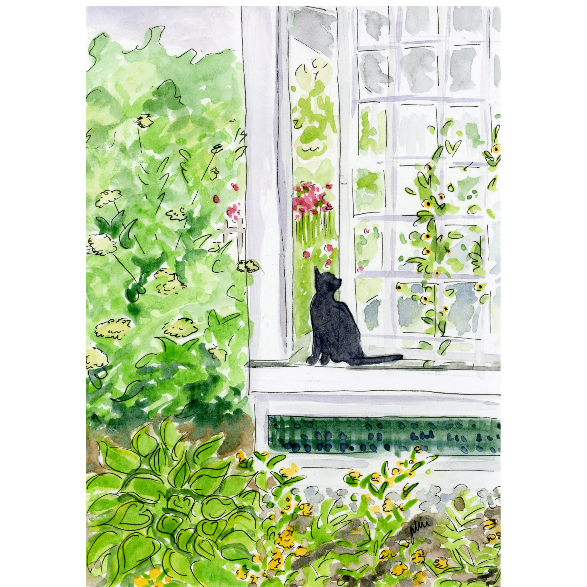 Garden Cat