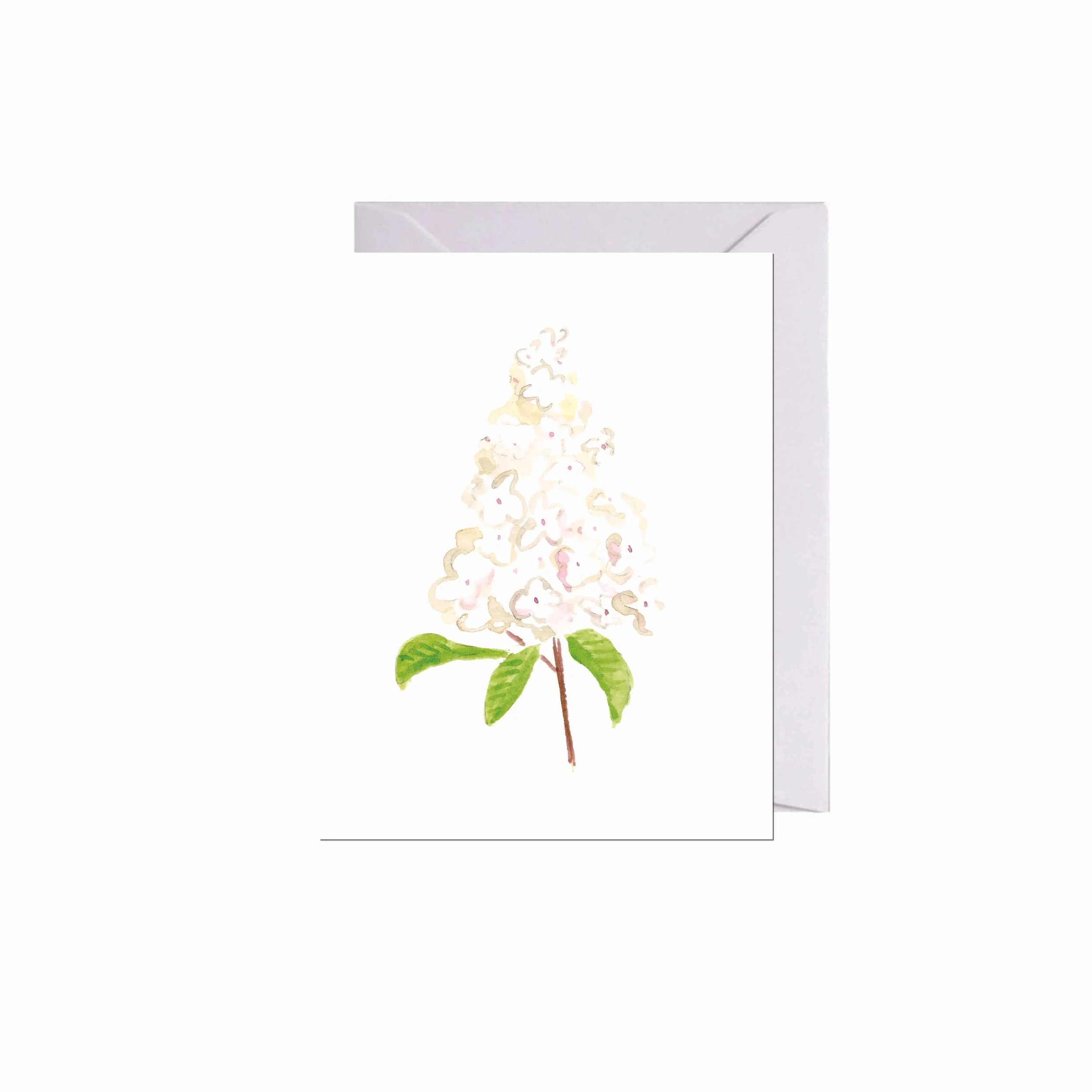 white hydrangea mockup.jpg