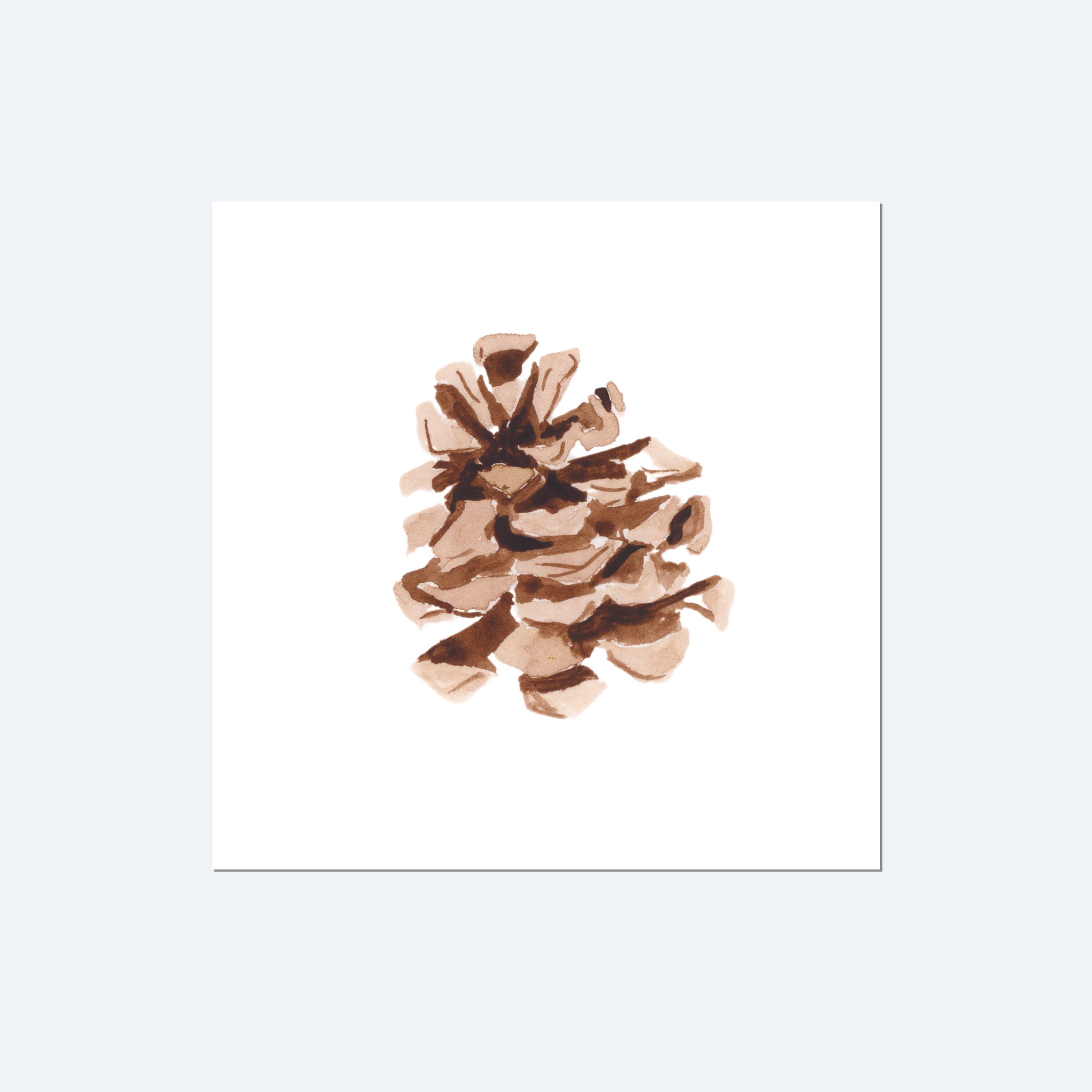littlepinecone_product.jpg
