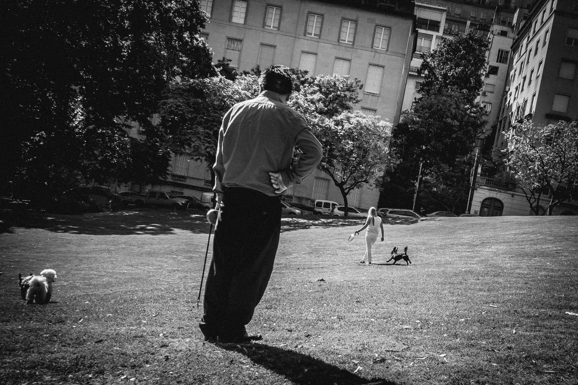 Walking the dog, Buenos Aires. Owners and professional pet walkers exercise their animals around the streets and parks of the Buenos Aires, capital of Argentina. Photograph Michael Craig