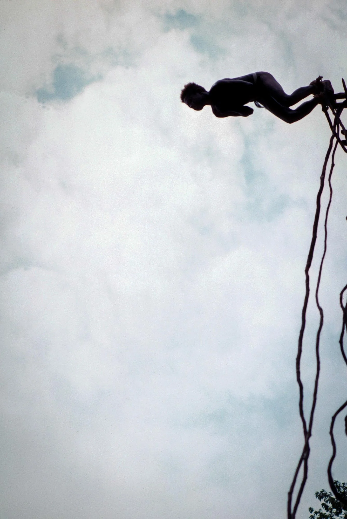 A jumper leaps from the tower. Naghol (or land diving) is a significant cultural ritual on Pentecost Island, Vanuatu, performed by men from April to June to ensure a bountiful yam harvest 