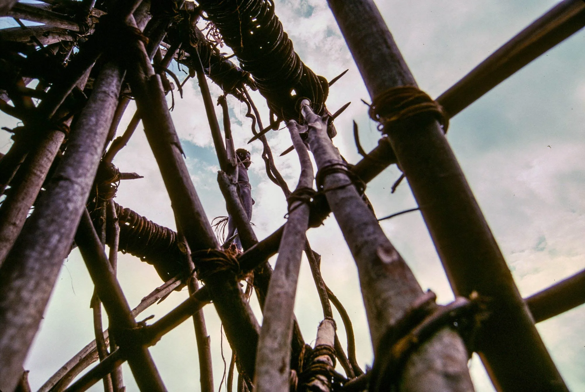 Naghol (or land diving) is a significant cultural ritual on Pentecost Island, Vanuatu, performed by men from April to June to ensure a bountiful yam harvest 