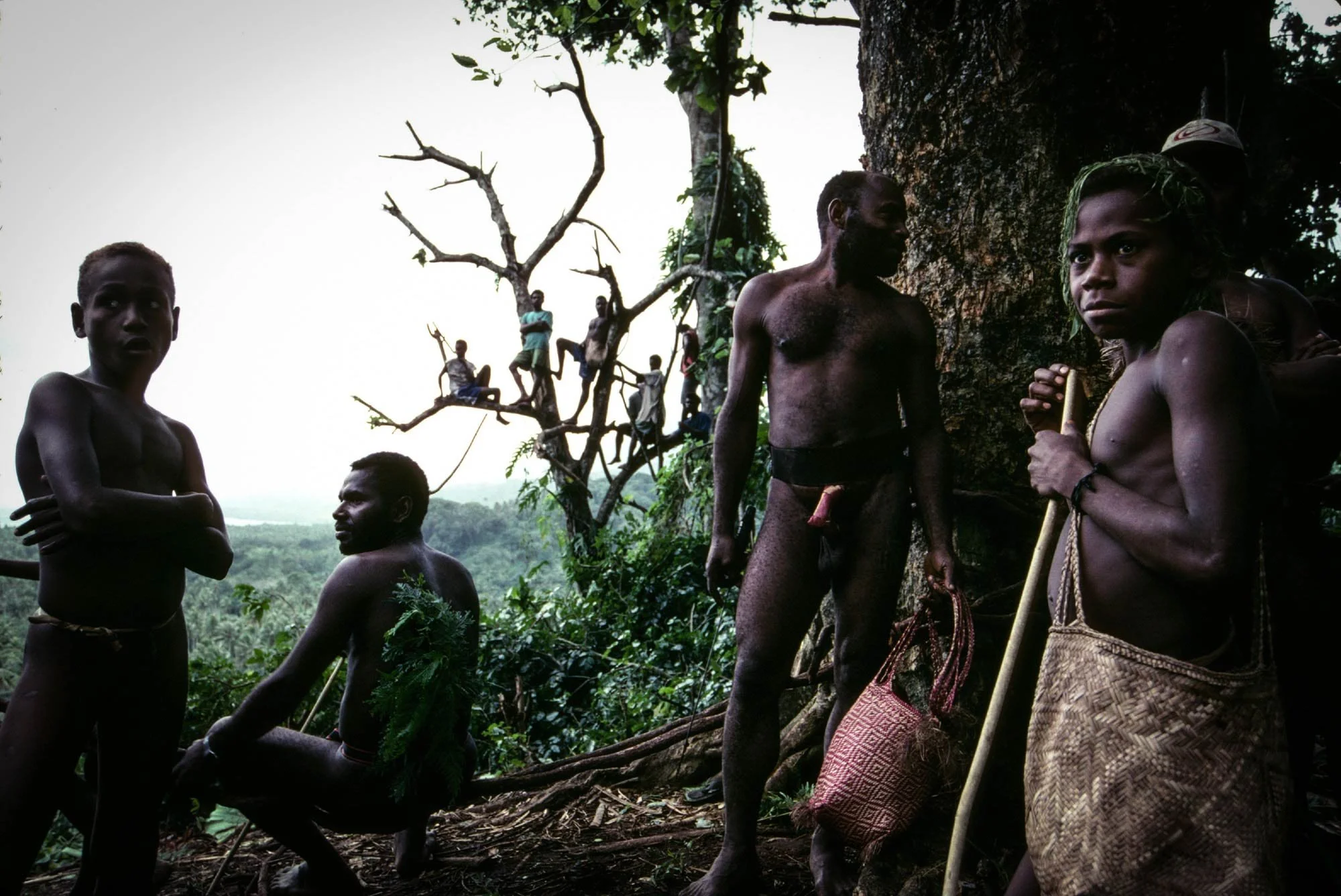 Naghol (or land diving) is a significant cultural ritual on Pentecost Island, Vanuatu, performed by men from April to June to ensure a bountiful yam harvest 