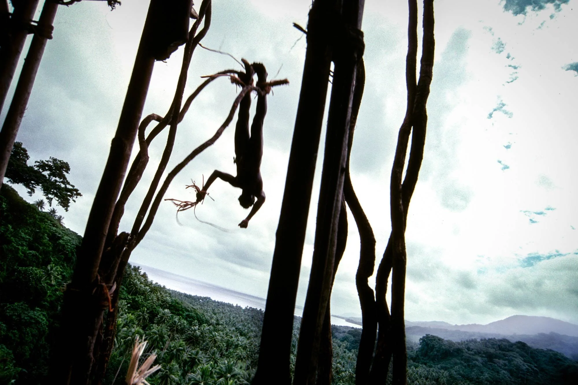 A jumper leaps from the tower. Naghol (or land diving) is a significant cultural ritual on Pentecost Island, Vanuatu, performed by men from April to June to ensure a bountiful yam harvest 