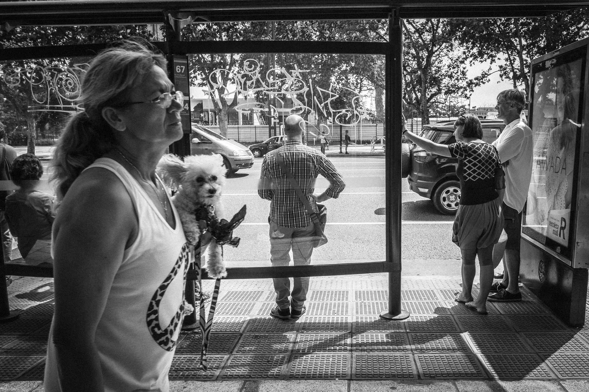 Walking the dog, Buenos Aires. Owners and professional pet walkers exercise their animals around the streets and parks of the Buenos Aires, capital of Argentina. Photograph Michael Craig
