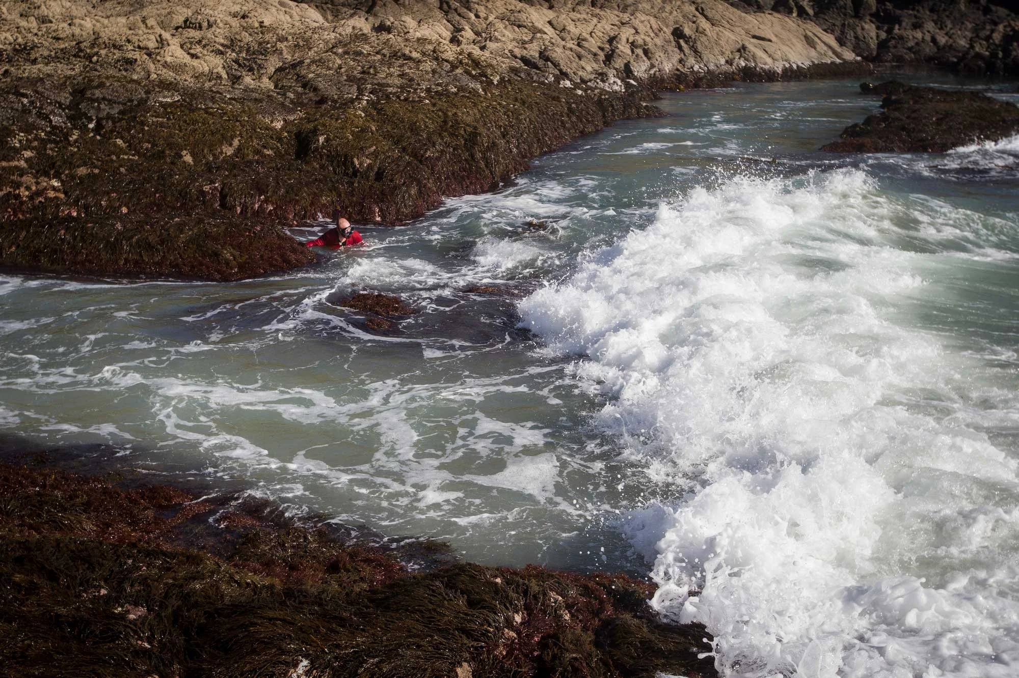 Paua fishing with cowboys, Herekino, North West Coast, New Zealand. Grant Davan, aka the Herekino dentist.