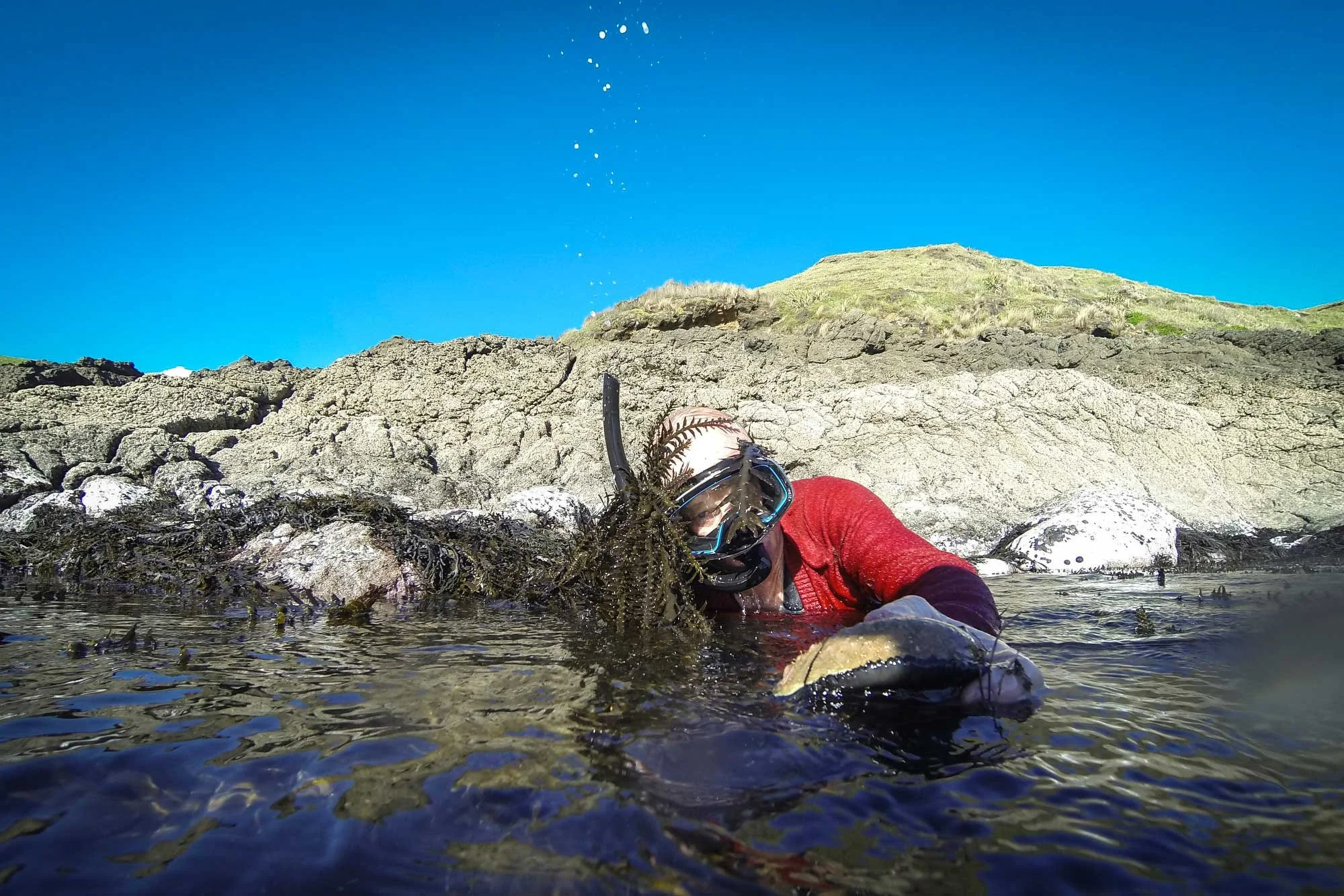 Paua fishing with cowboys, Herekino, North West Coast, New Zealand. Grant Davan, aka the Herekino dentist.