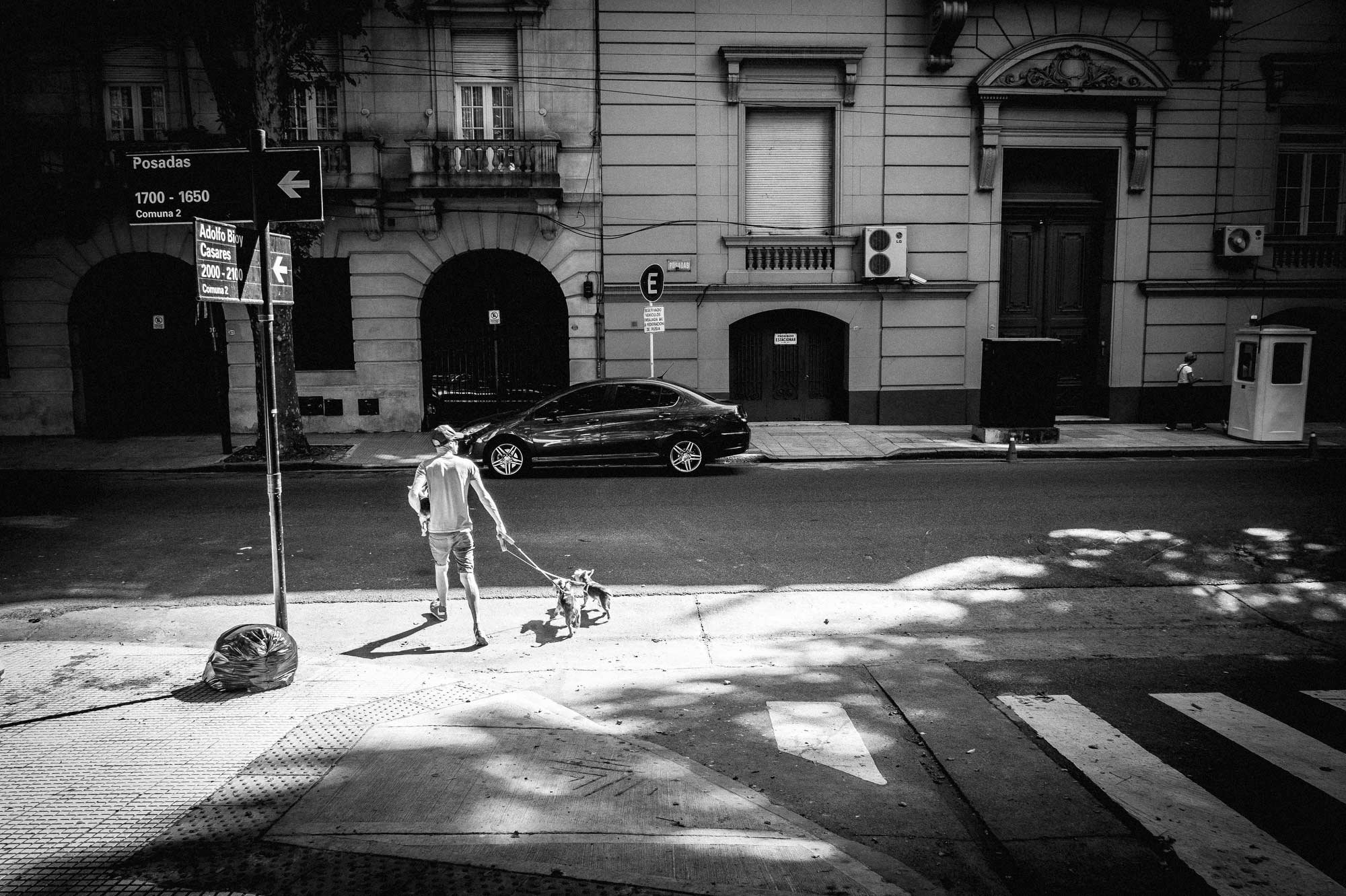 Walking the dog, Buenos Aires. Owners and professional pet walkers exercise their animals around the streets and parks of the Buenos Aires, capital of Argentina. Photograph Michael Craig