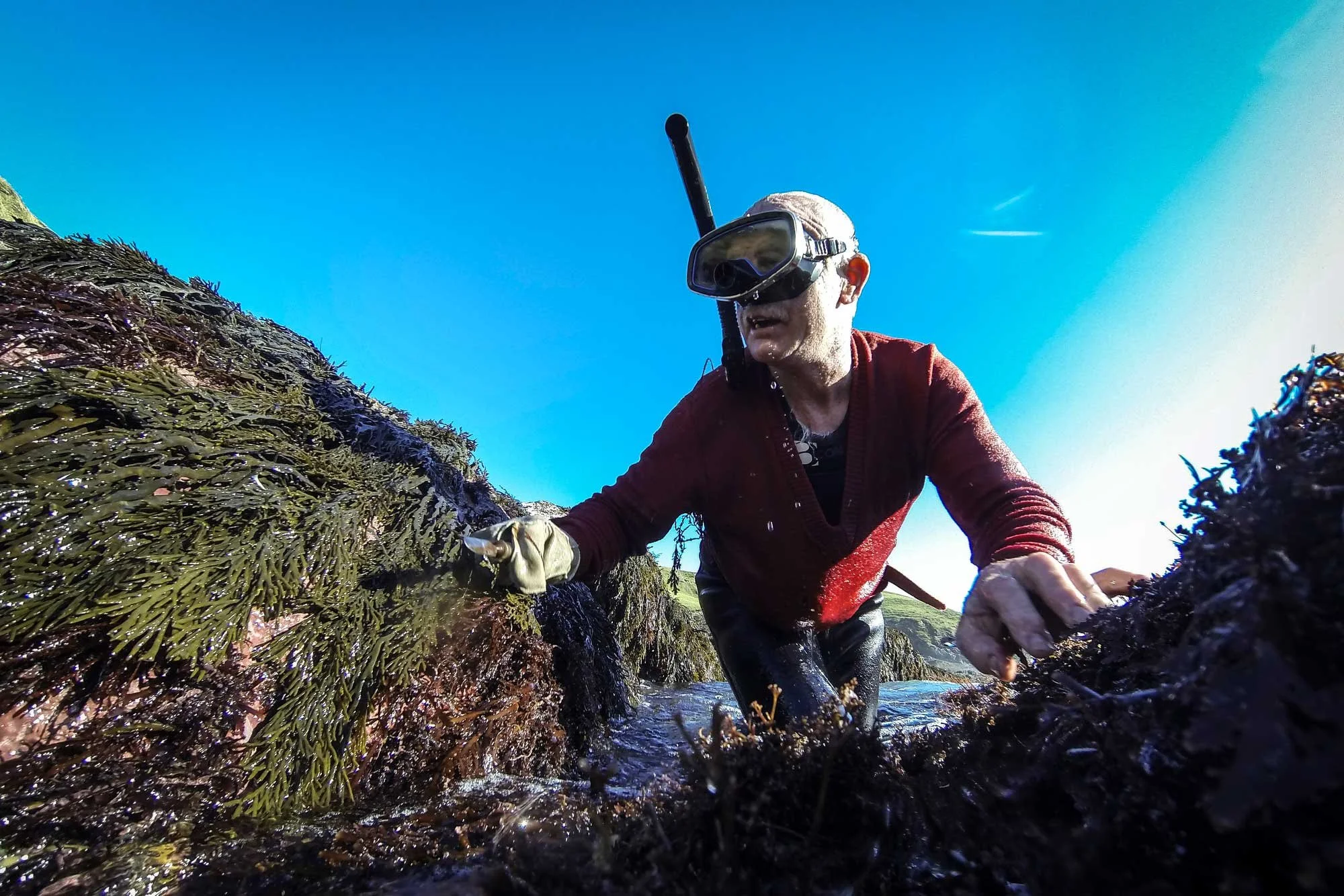 Paua fishing with cowboys, Herekino, North West Coast, New Zealand. Grant Davan, aka the Herekino dentist.