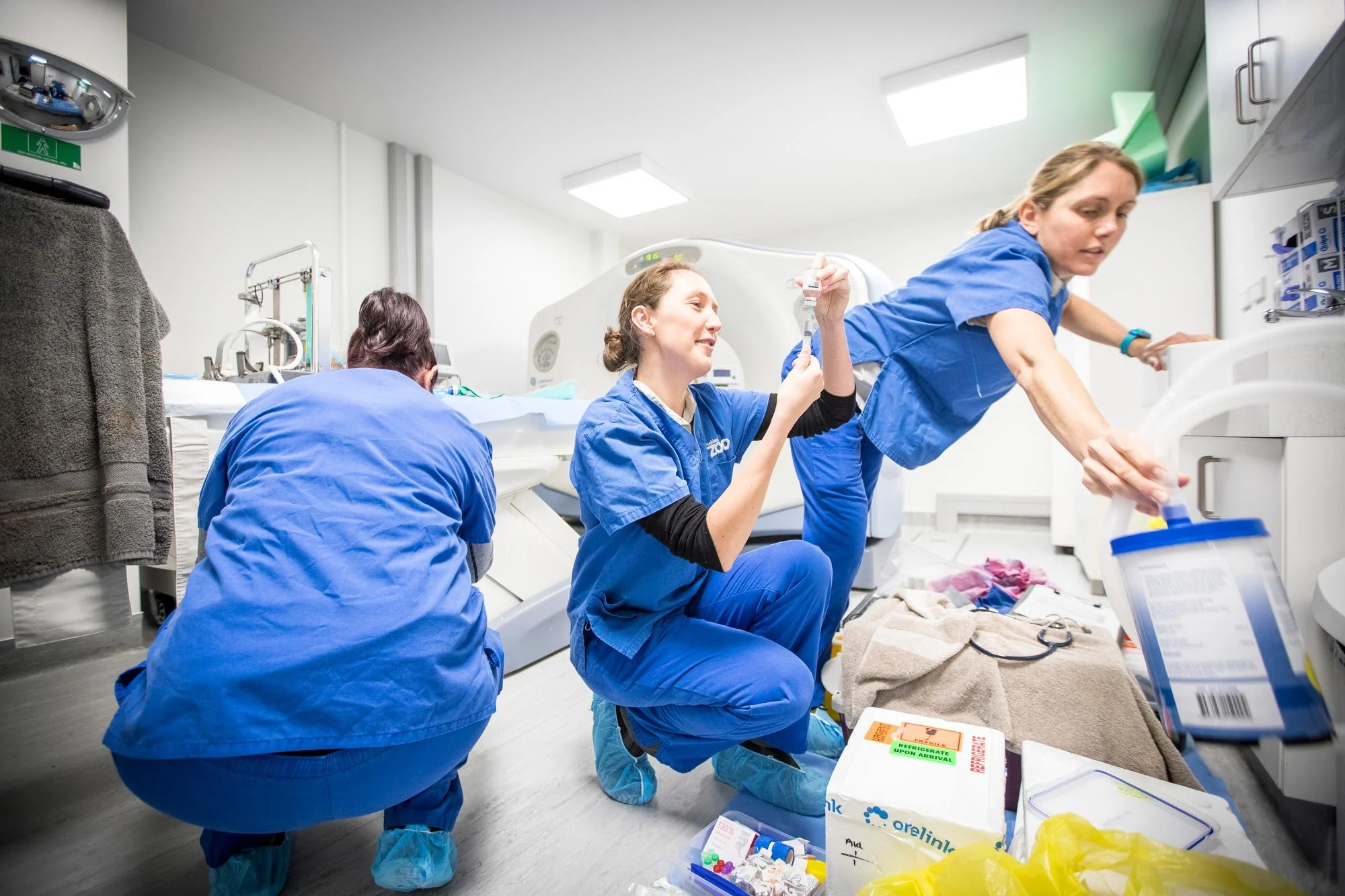 The fungal infection aspergillosis is threatening the Whenua Hou/Codfish Island kākāpō population. Since April, seven birds have died and 13 more cases have been confirmed. There are currently 142 adult kākāpō in the world and this year was a record 