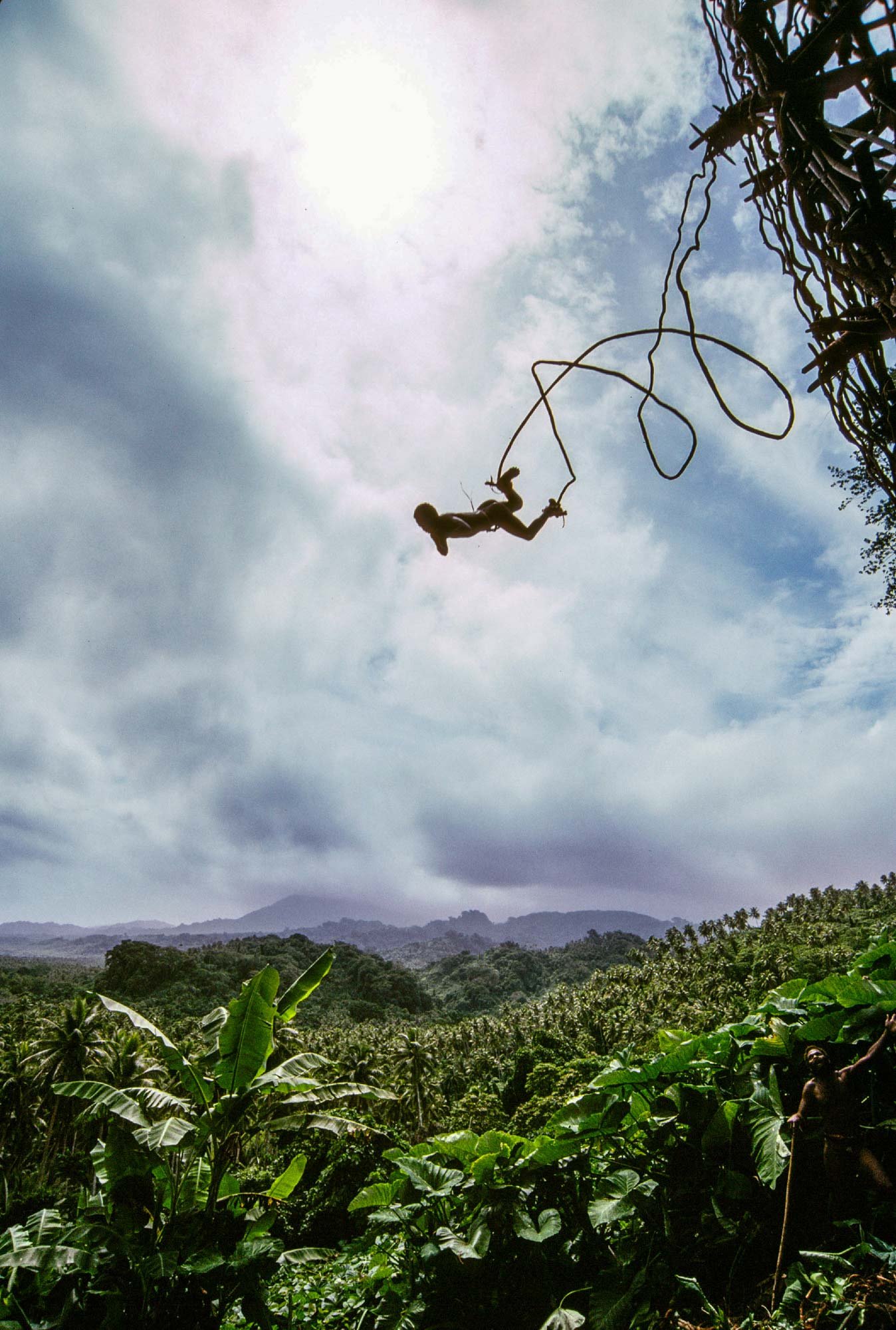 A jumper leaps from the tower. Naghol (or land diving) is a significant cultural ritual on Pentecost Island, Vanuatu, performed by men from April to June to ensure a bountiful yam harvest 