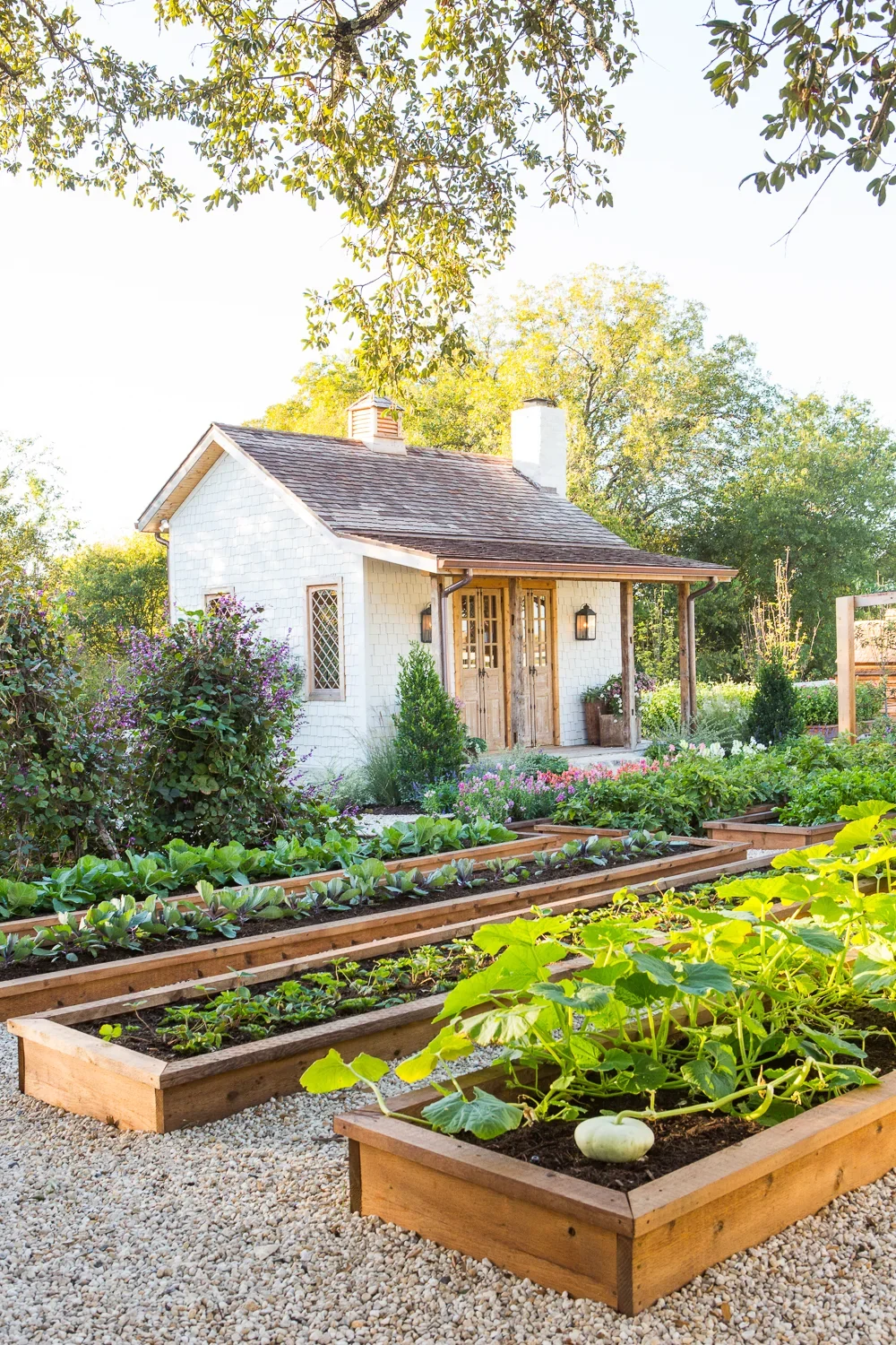 A small white garden shed with wooden doors, surrounded by flower beds and vegetable gardens, with trees and a bright sky in the background.