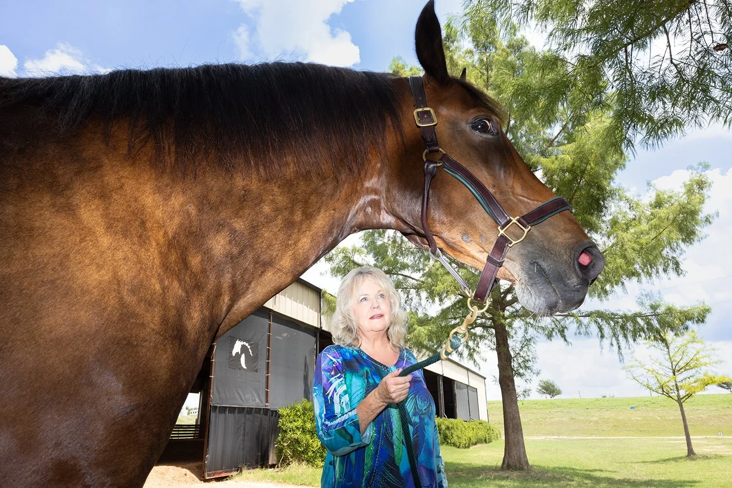 An elderly woman with gray hair holding a lead rope attached to a large brown horse with a black mane, standing outdoors in a grassy area with trees and a barn in the background on a partly cloudy day.
