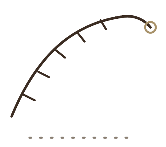 Measure and draft step