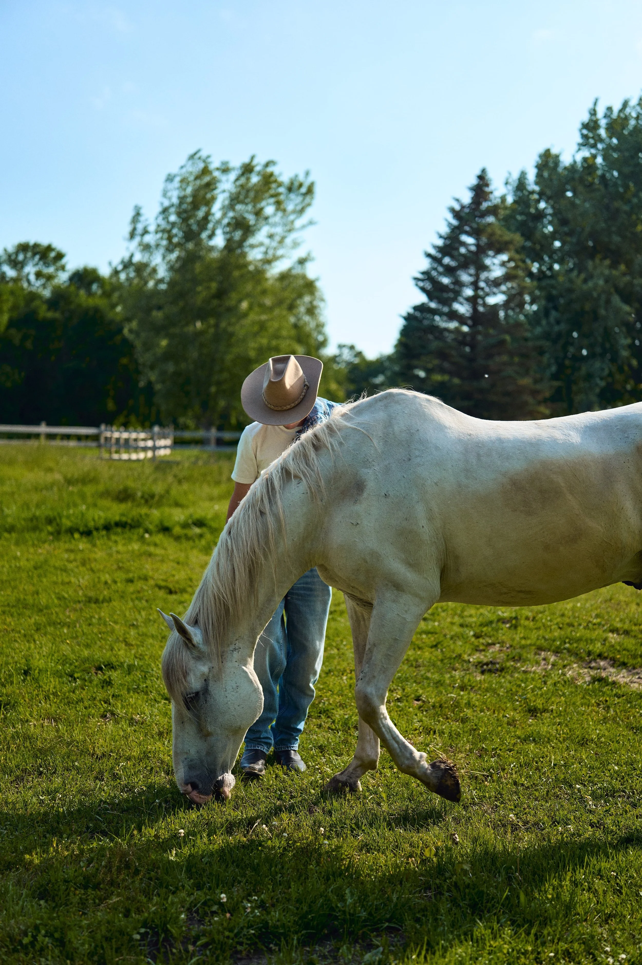 A man wearing a cowboy hat and white shirt is standing in a green field, petting a white horse that is grazing.