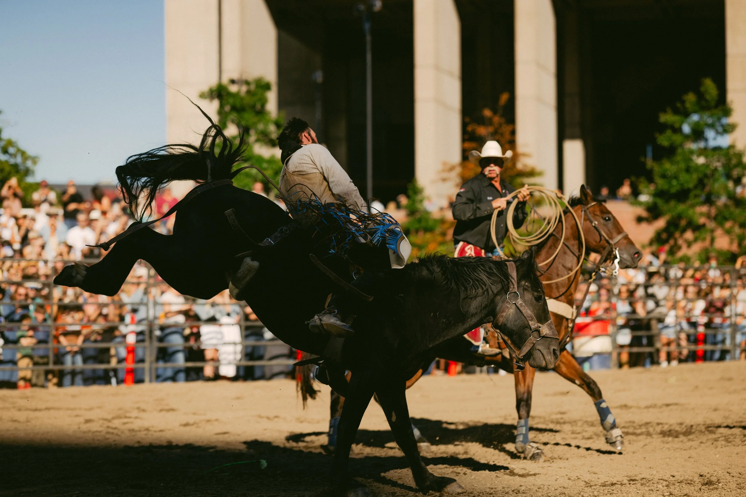 A rodeo event with two cowboys on horseback, one of them falling off as the horse makes a sudden move, in front of a crowd under clear skies.