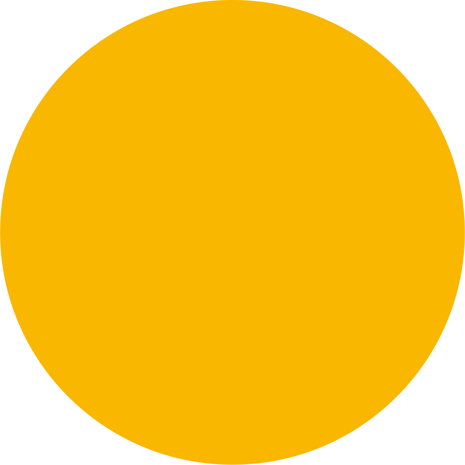 Brand Visibility Beyond Google.