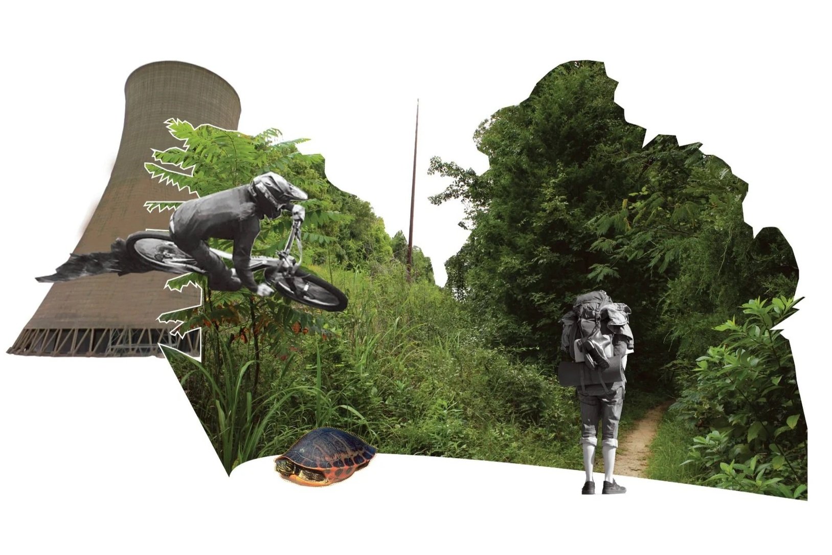 Biophilic Potentials - Master's Thesis