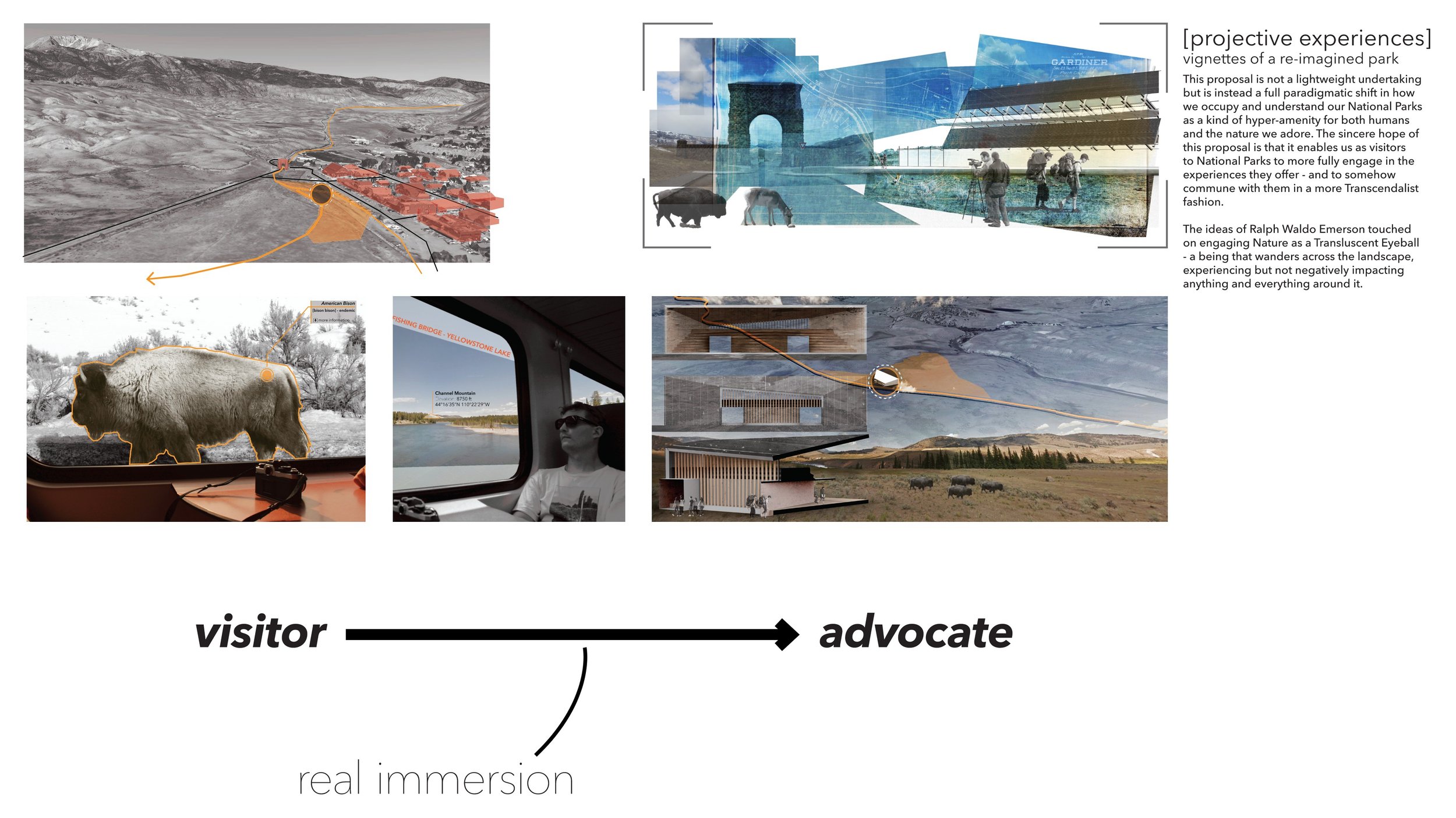 wildlifepavilion Page 016.jpg