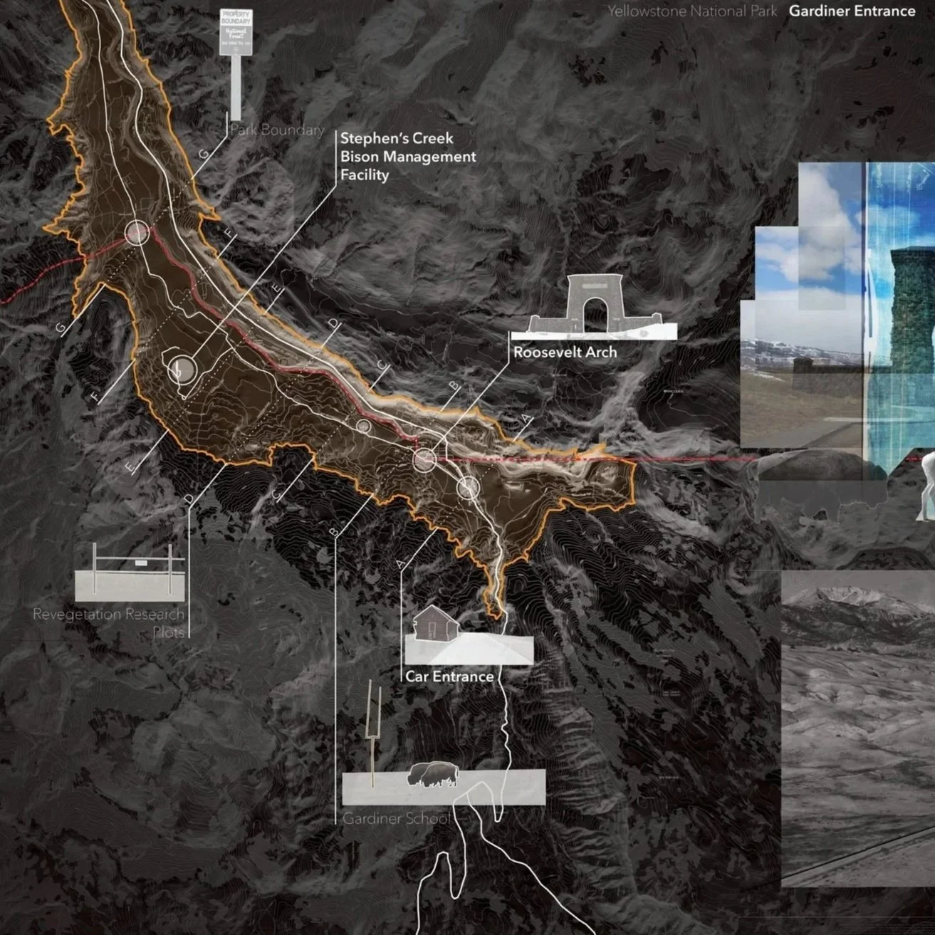 Greater Yellowstone Ecosystem Research
