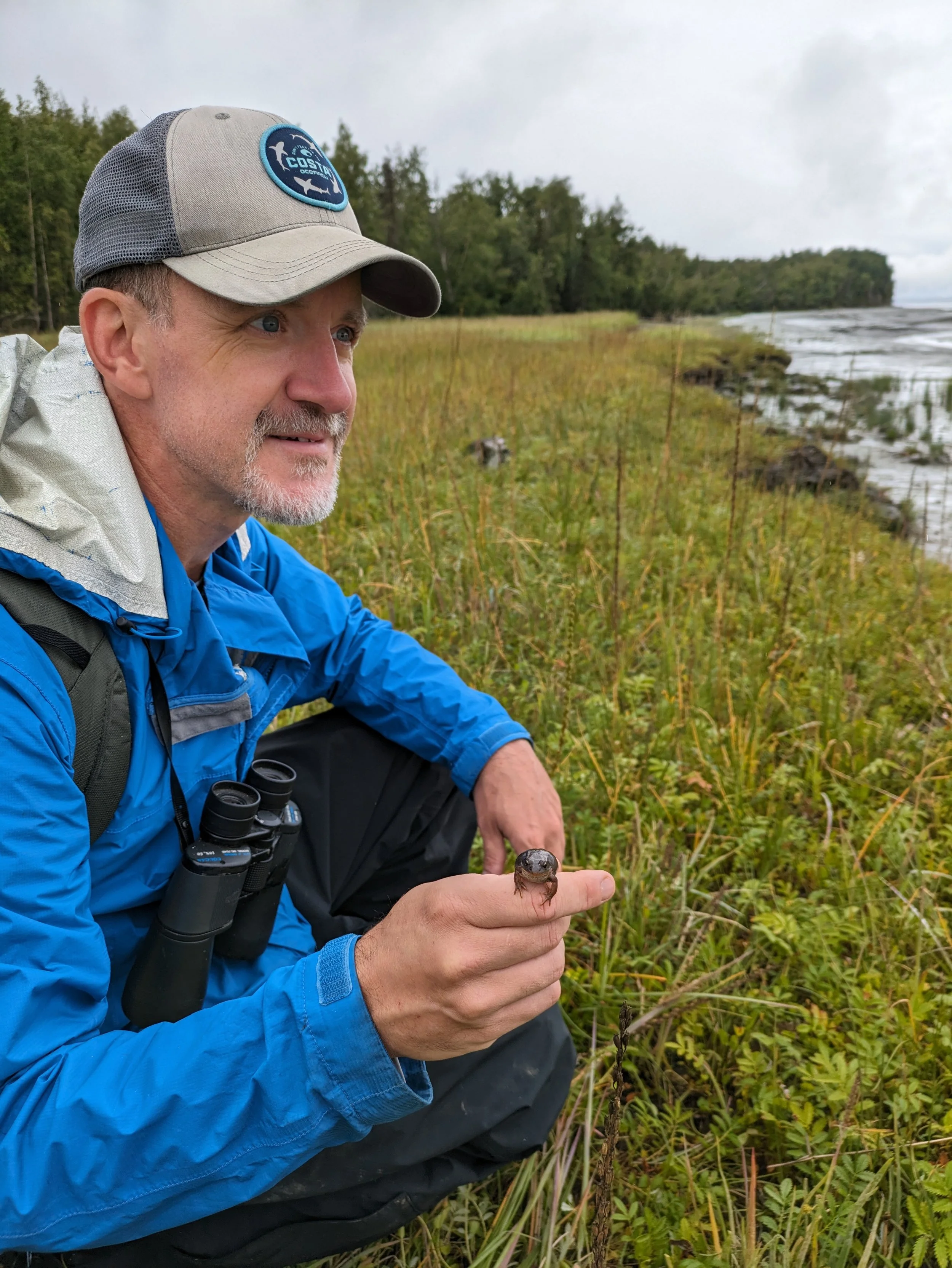 A man with binoculars around his neck, wearing a blue jacket and a gray cap, kneeling on a grassy shoreline holding a small amphibian in his hand, with a coastal landscape and cloudy sky in the background.