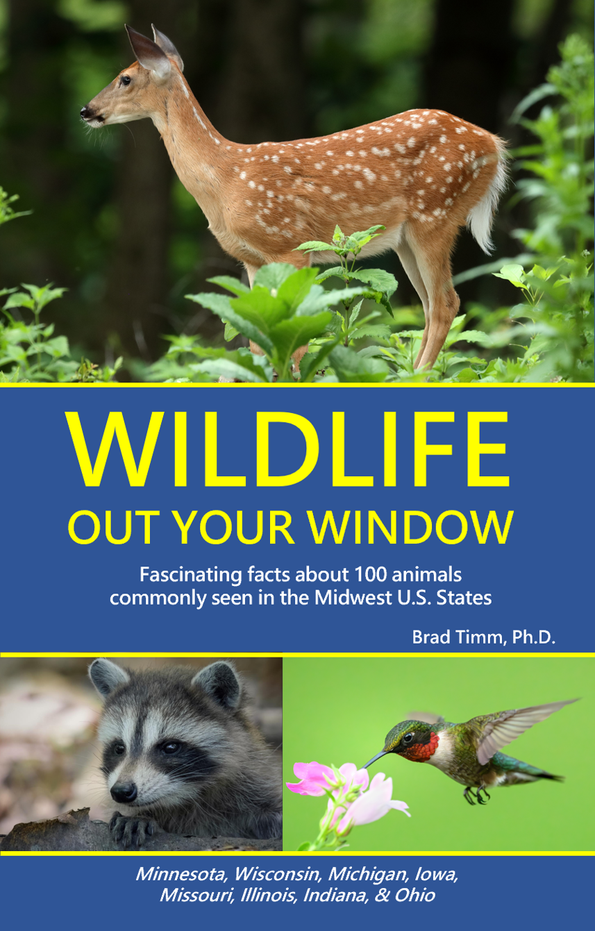 A book cover titled 'Wildlife Out Your Window' by Brad Timm, Ph.D., featuring a photograph of a white-tailed deer with white spots standing in a forest, alongside smaller images of a raccoon and a hummingbird.