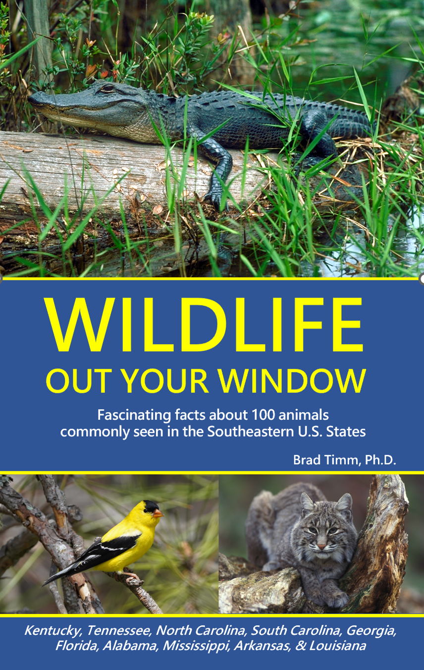 Cover of a book titled "Wildlife Out Your Window", the Midwest version, featuring an alligator basking on a log in a wetland, with an American Goldfinch on a branch and a bobcat lying on a tree limb.