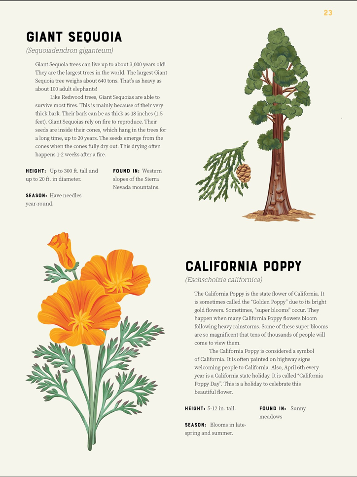 california_plants_page2.png
