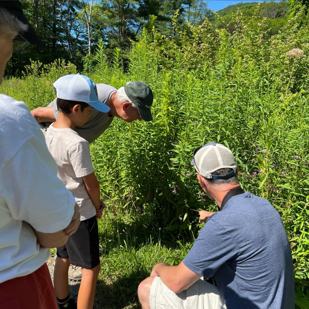 Adults and children examining plants in a lush green field surrounded by trees on a sunny day.