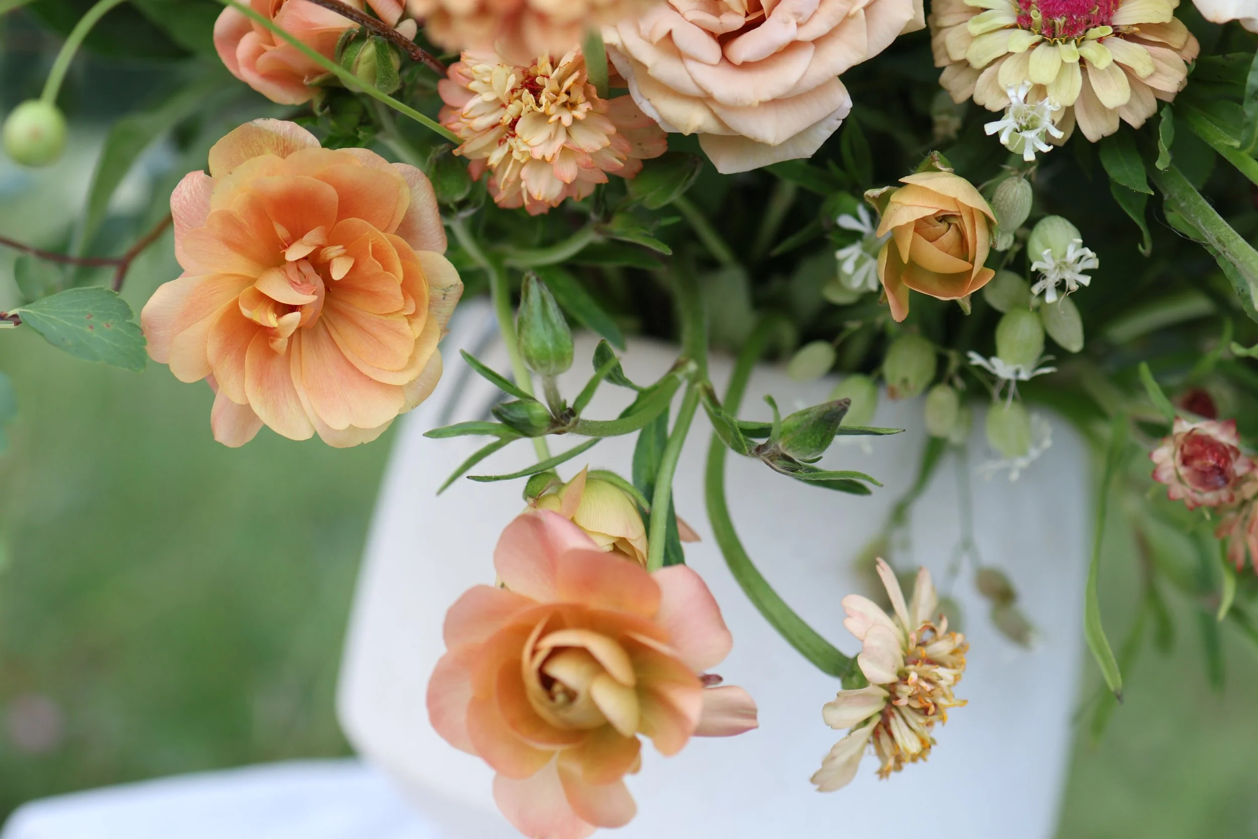 Close-up of peach and cream-colored flowers in a white vase with green leaves.