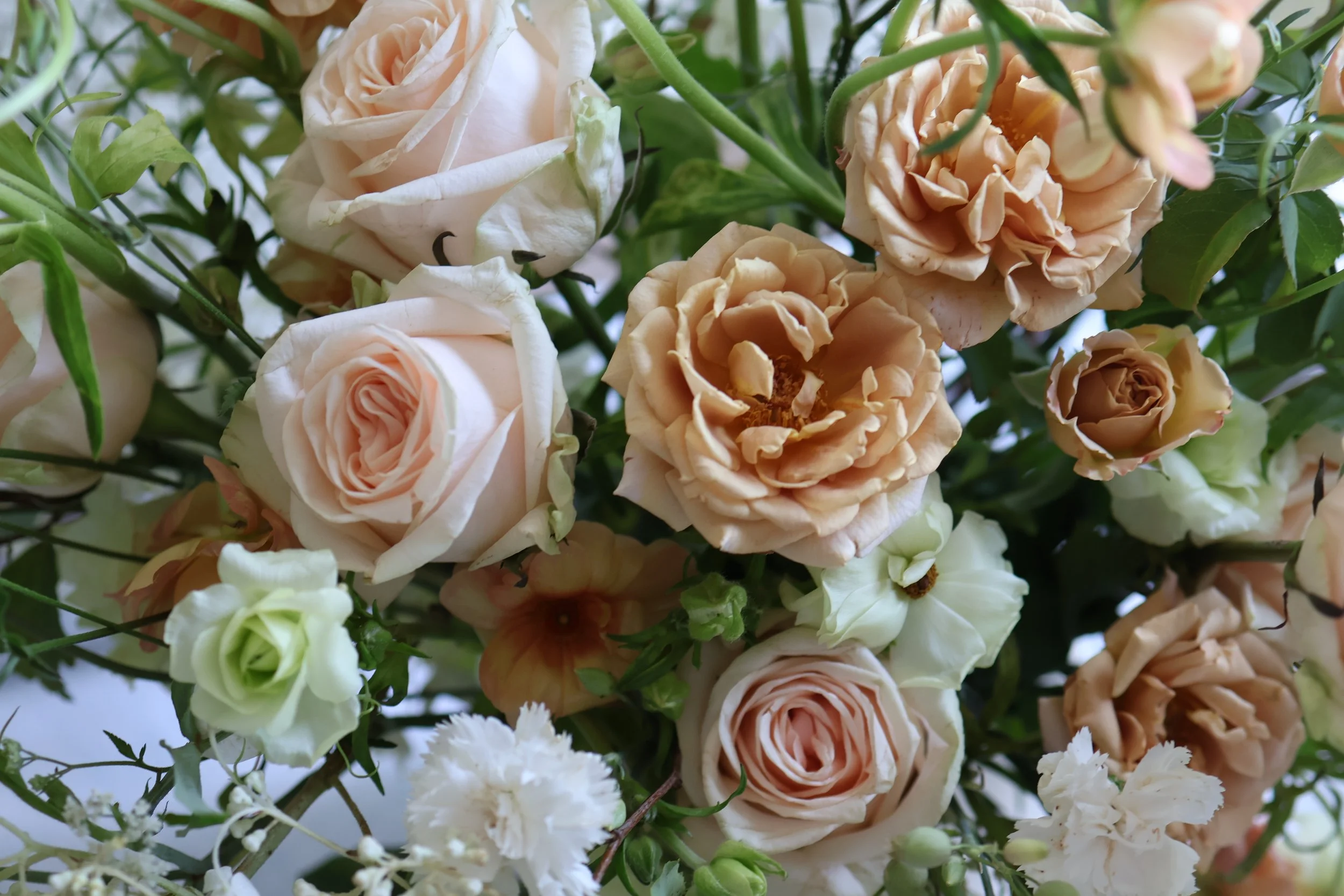 Close-up of a bouquet featuring light pink roses, soft peach and cream-colored flowers, and green foliage.