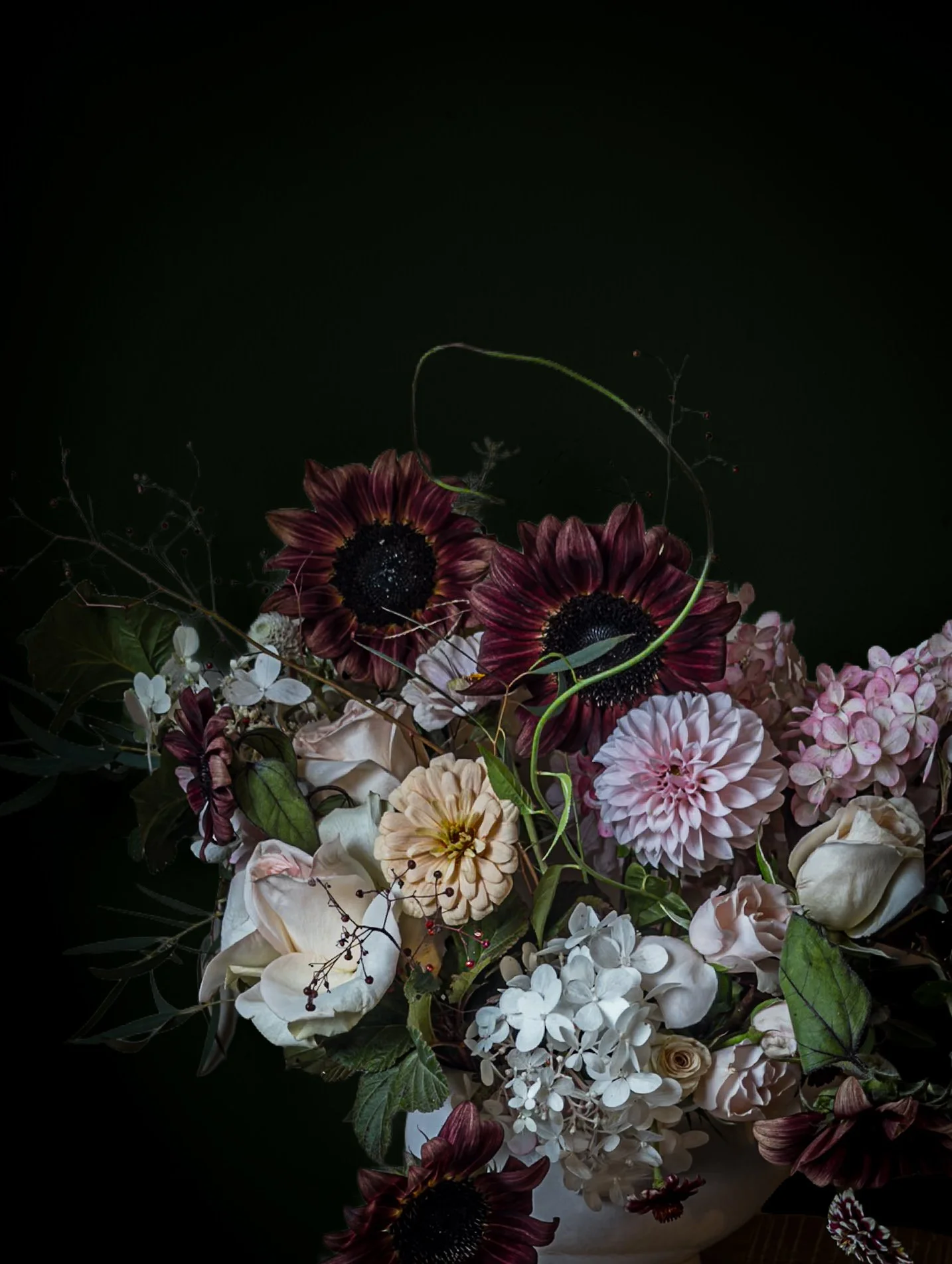 A bouquet of dark red and white flowers, including sunflowers and hydrangeas, arranged with green leaves on a black background.