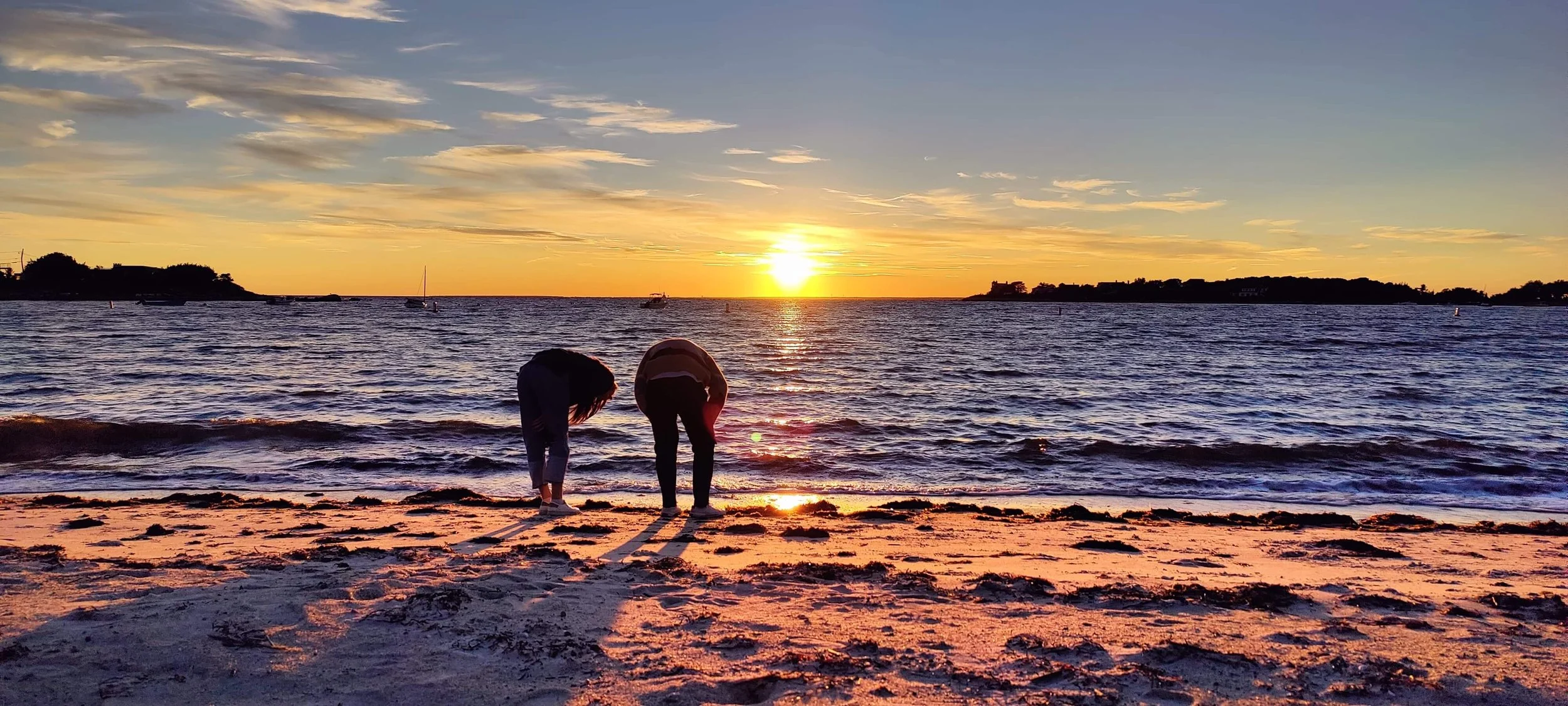cape cod