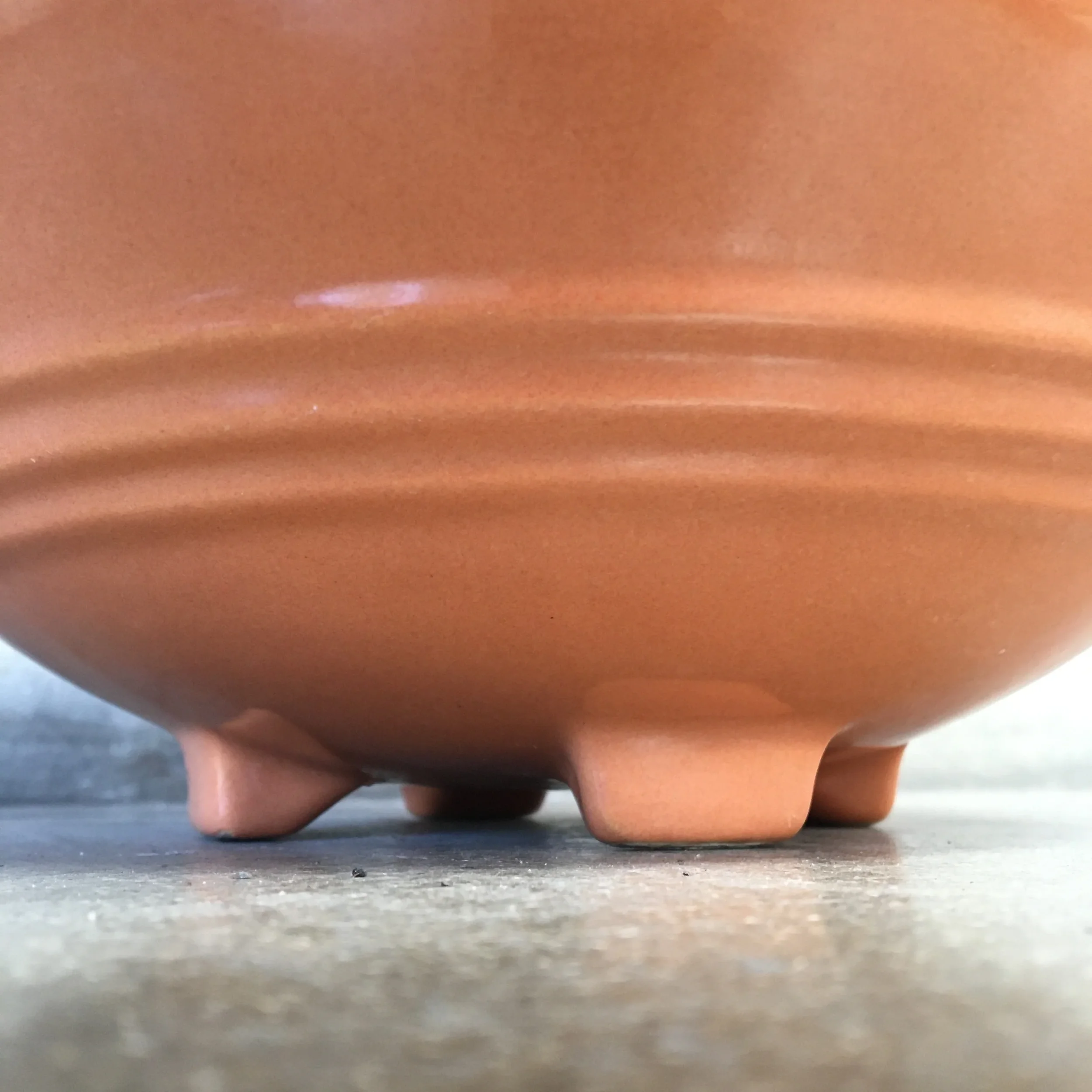 Peach Pacific Footed Punch B 3.webp