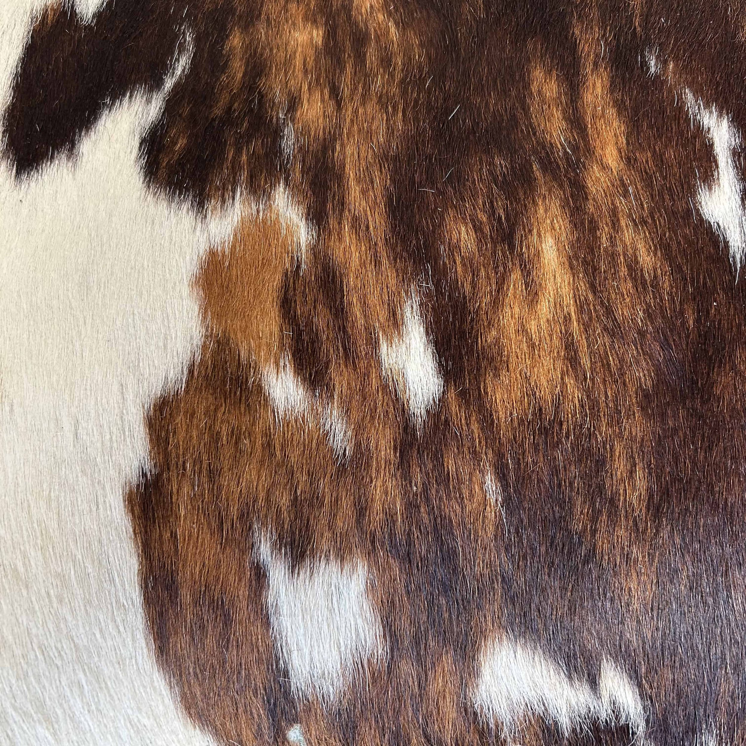 Coronado Furniture 1930's Barrel Chair w:Cowhide Cushions7.jpg