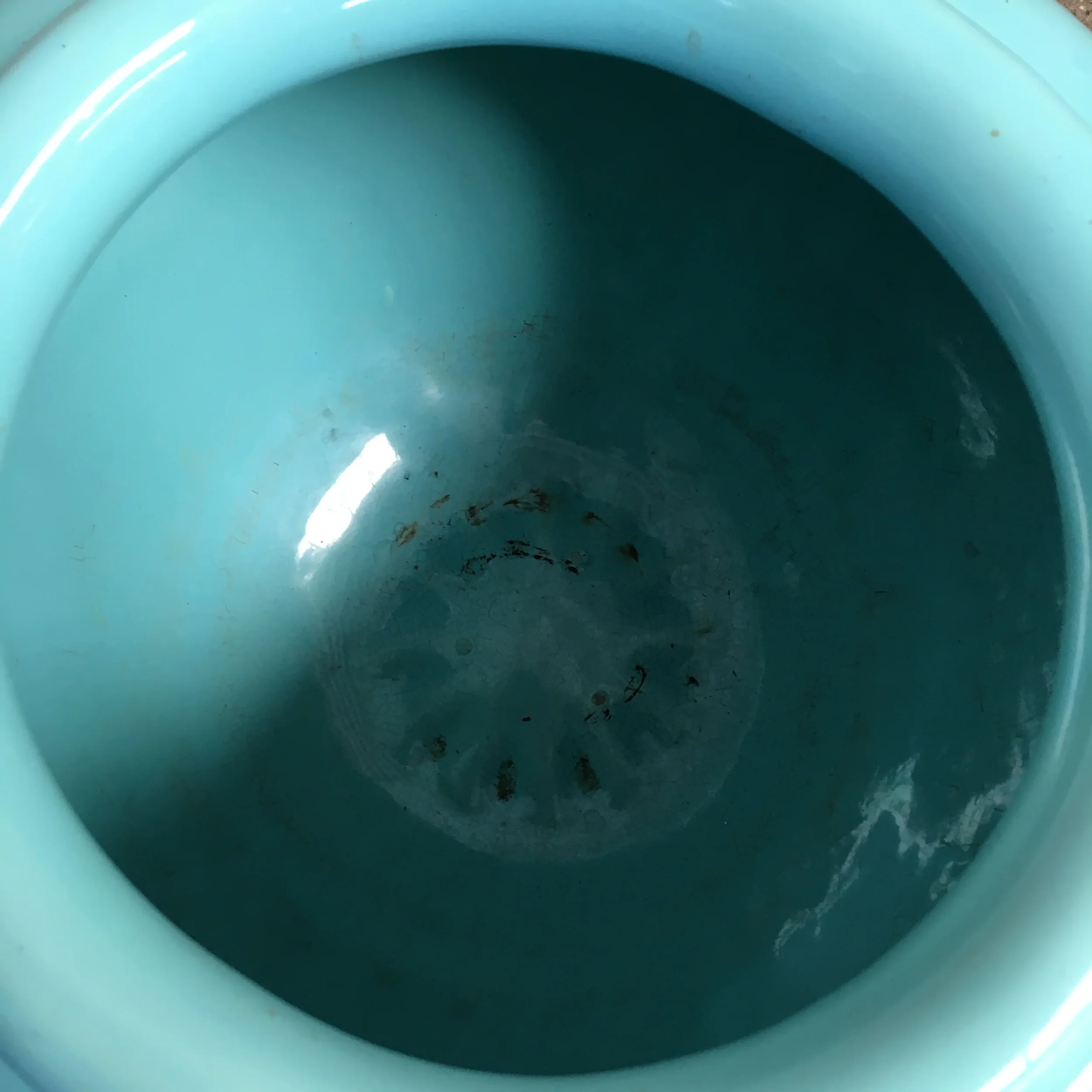 Pacific Low Turquoise Oil Jar 2.webp