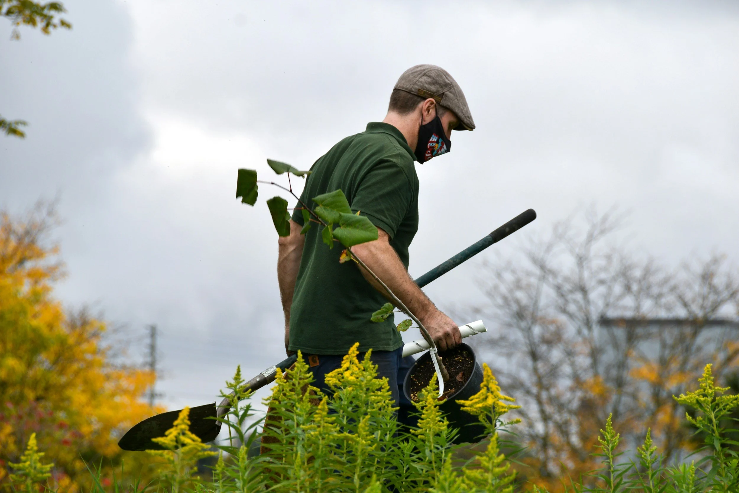 A person wearing a brown cap, a face mask, and a green shirt is planting or tending to plants outdoors. They are holding a small watering can and a gardening tool, and are surrounded by tall yellow-green plants. The background includes trees with autumn-colored leaves and a cloudy sky.