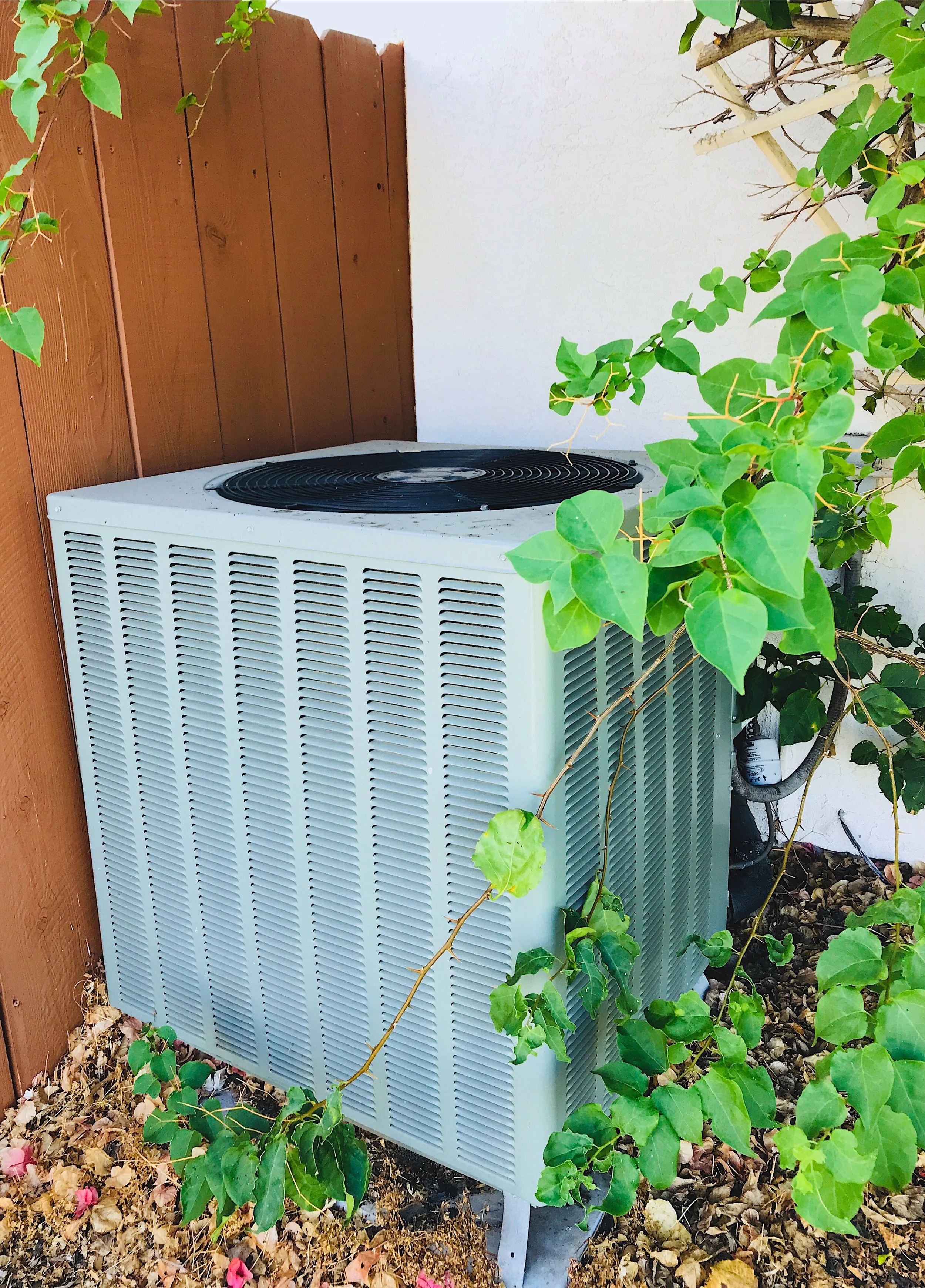 An air conditioning unit surrounded by green ivy plants next to a wooden fence and white wall. New Unit installation HVAC Lafollette Jacksboro Caryville East Tennessee Seasonal Tune-ups