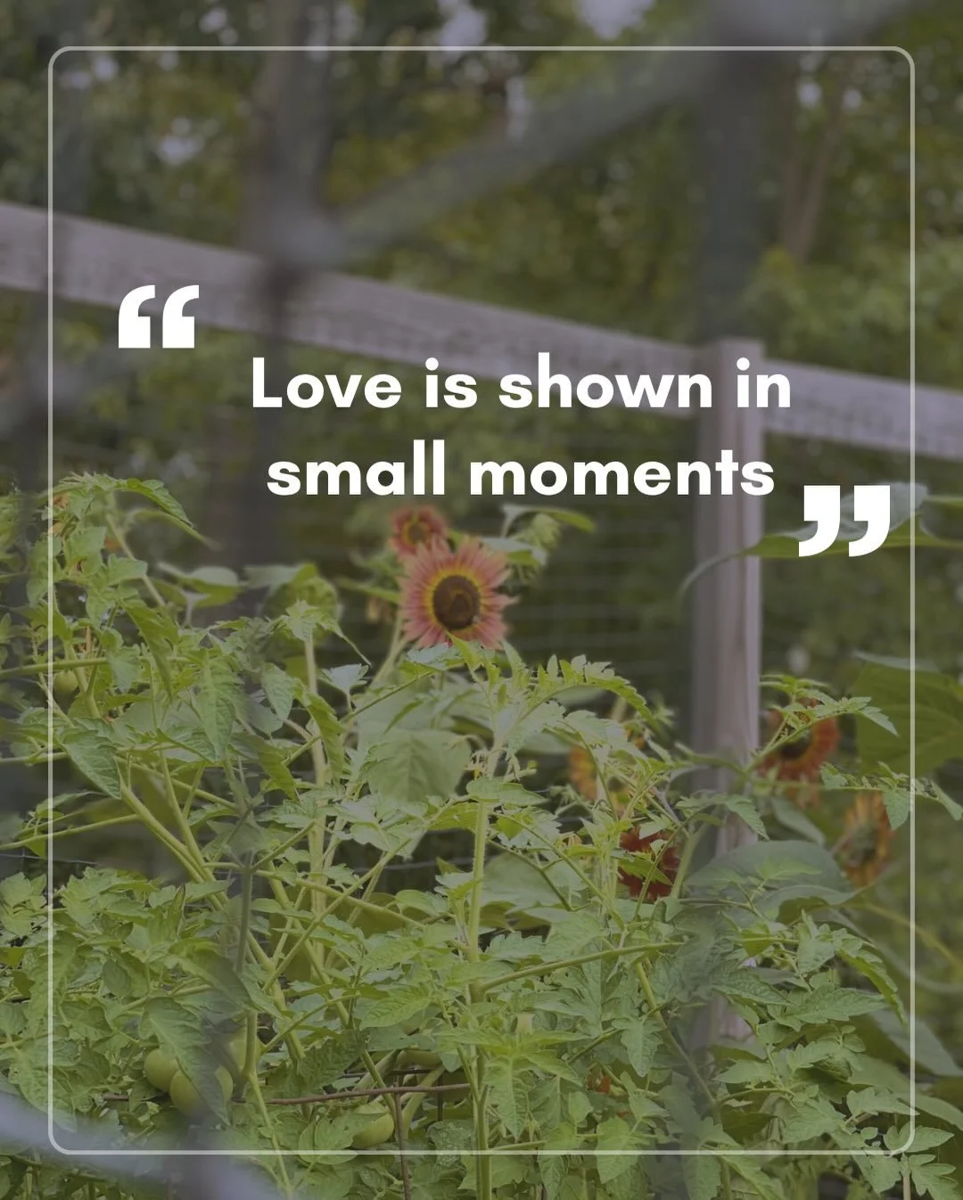 Love is not always found in the grand gestures. More often, it is quietly woven into the smallest moments of our day.

It is in the way you pause before responding, choosing patience instead of frustration. It is in the meal prepared after a long day